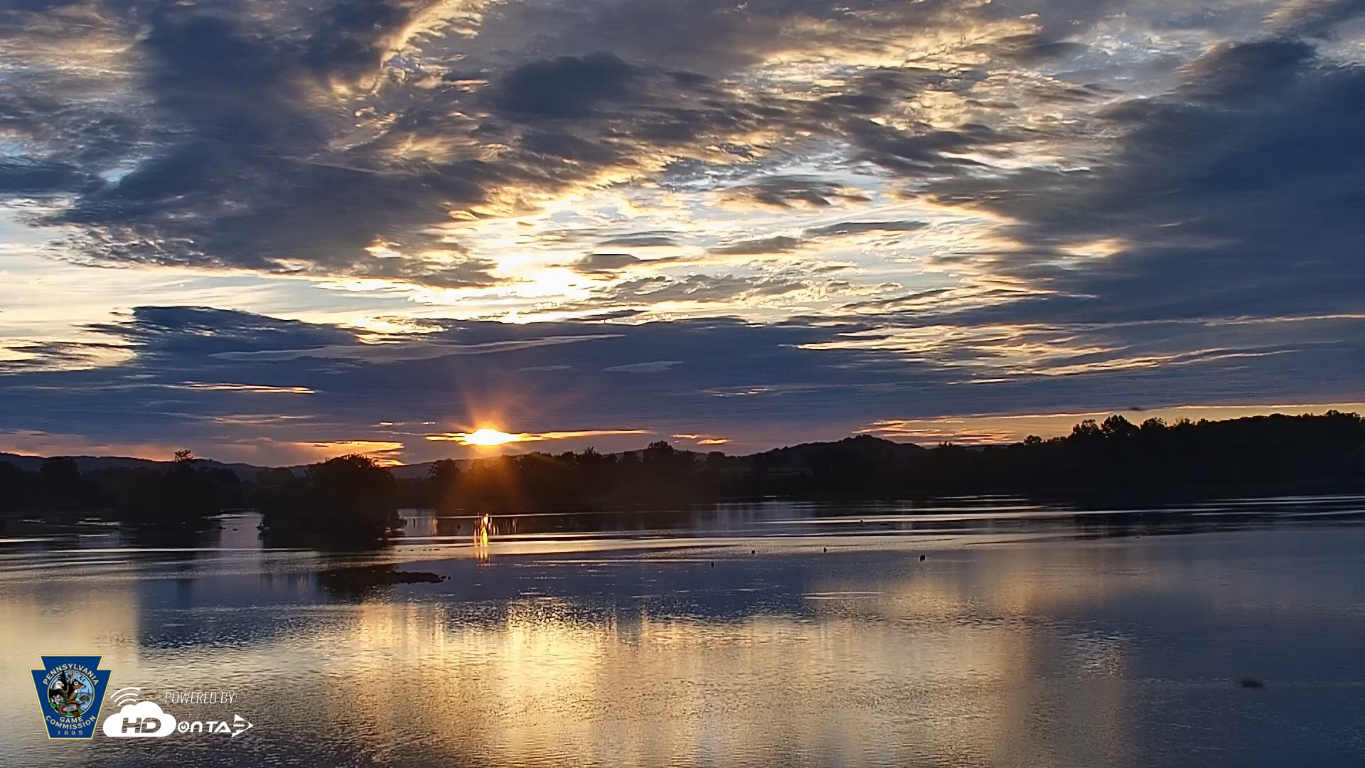 Snapshot of Pennsylvania Snow Geese Live Webcam taken Sep 21, 2026, 7:00am EDT