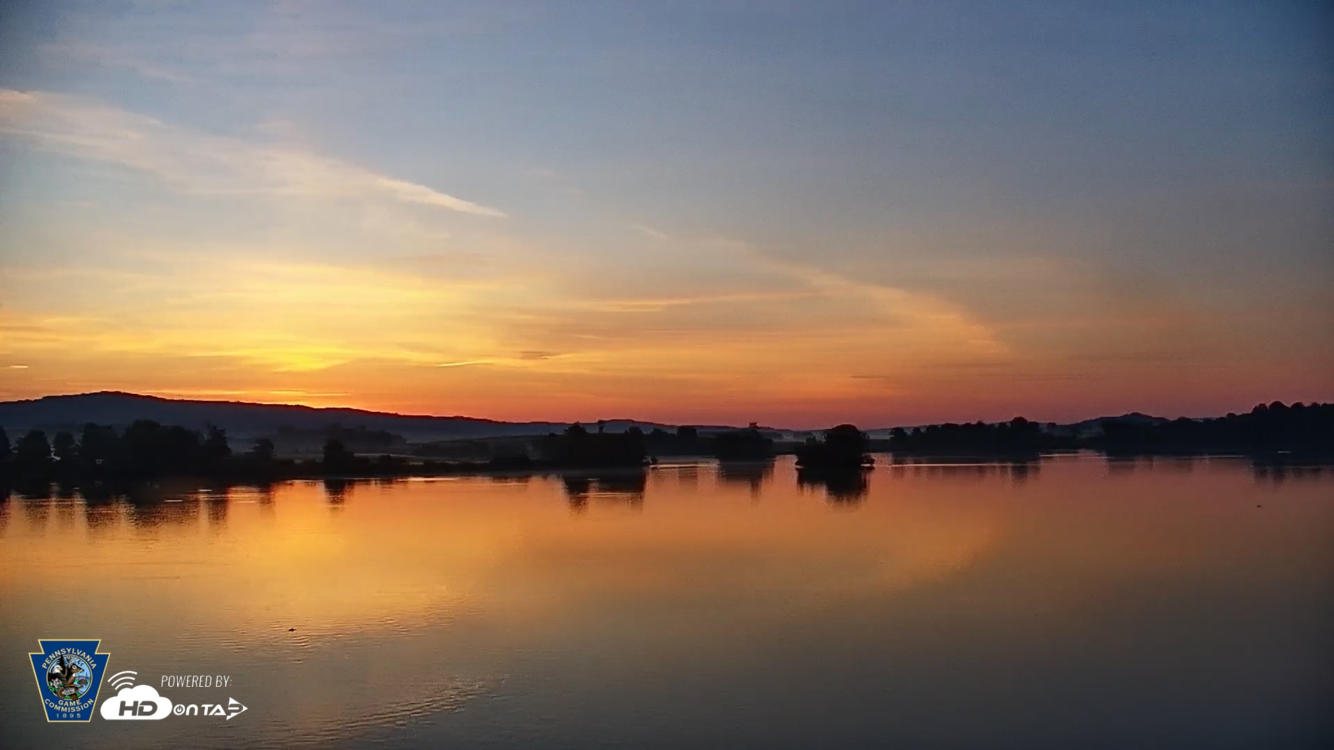 Snapshot of Pennsylvania Snow Geese Live Webcam taken May 18, 2026, 5:45am EDT