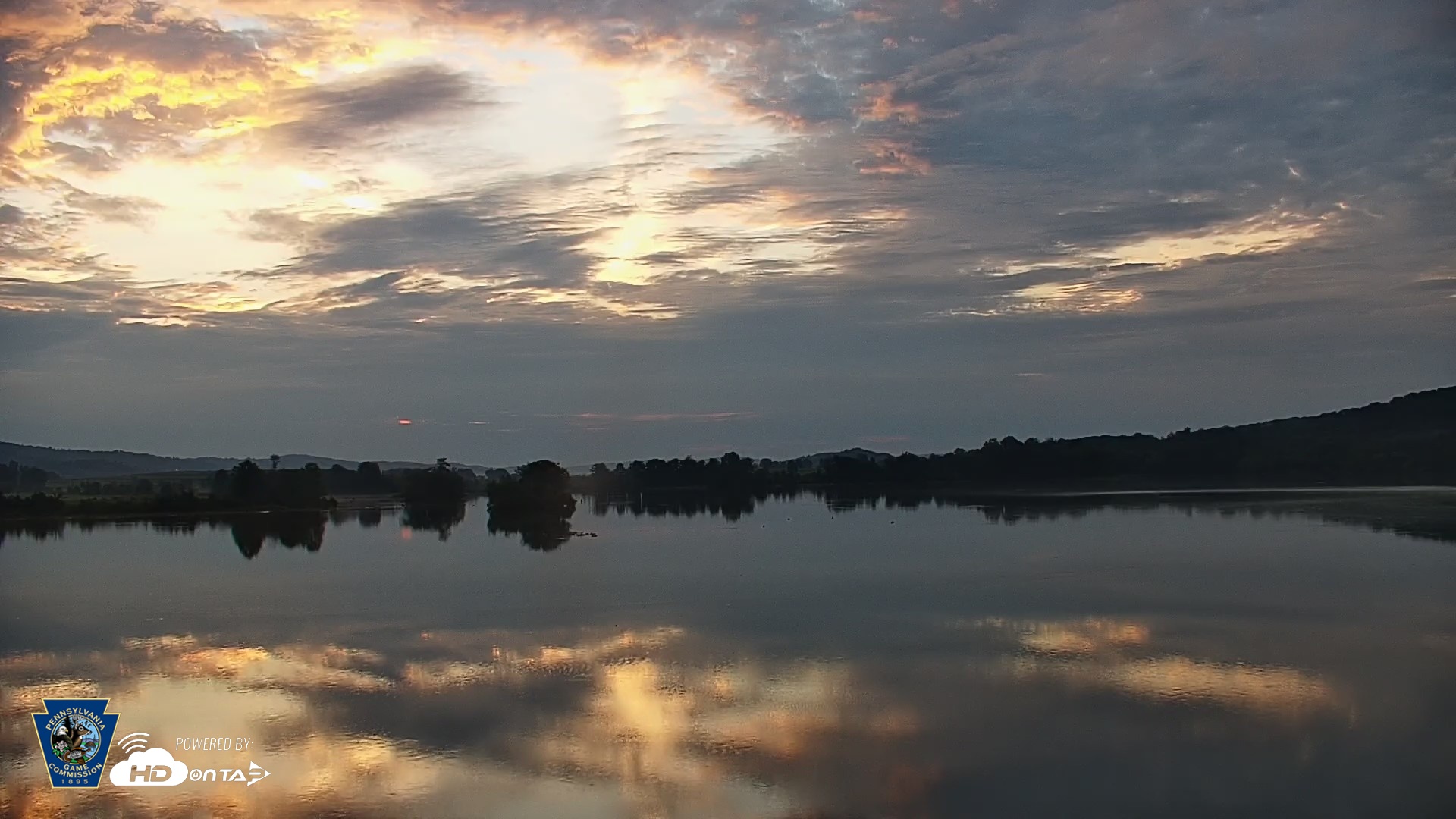Snapshot of Pennsylvania Snow Geese Live Webcam taken Aug 31, 2026, 6:35am EDT