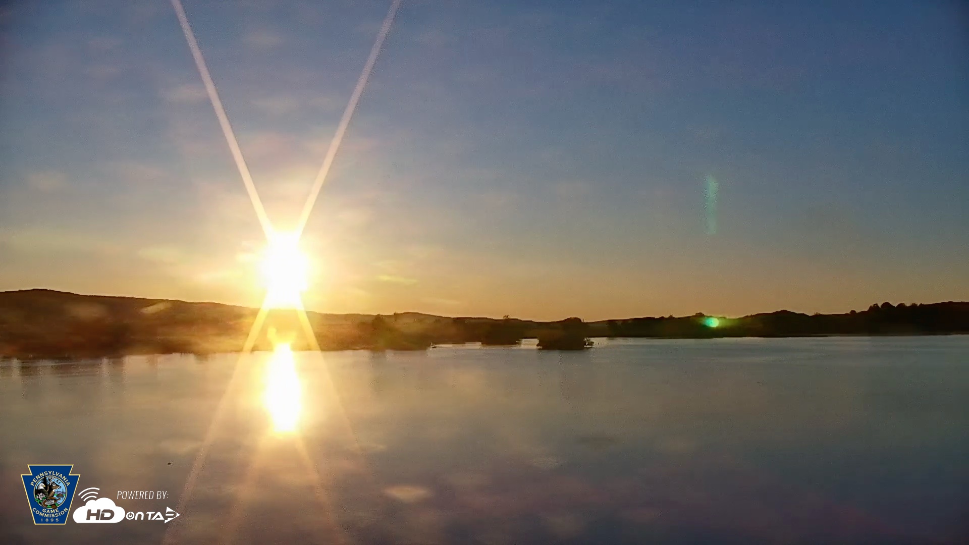 Snapshot of Pennsylvania Snow Geese Live Webcam taken May 12, 2026, 6:17am EDT