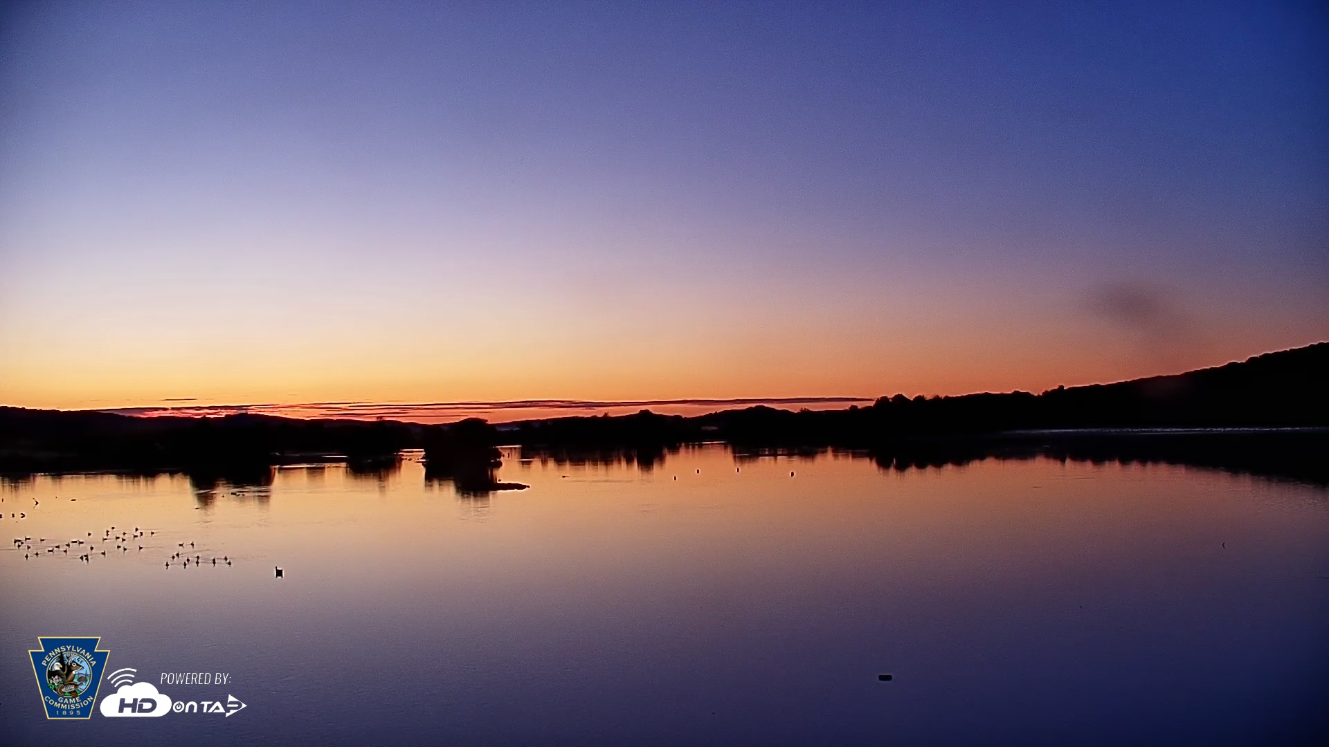 Snapshot of Pennsylvania Snow Geese Live Webcam taken Aug 27, 2025, 6:16am EDT