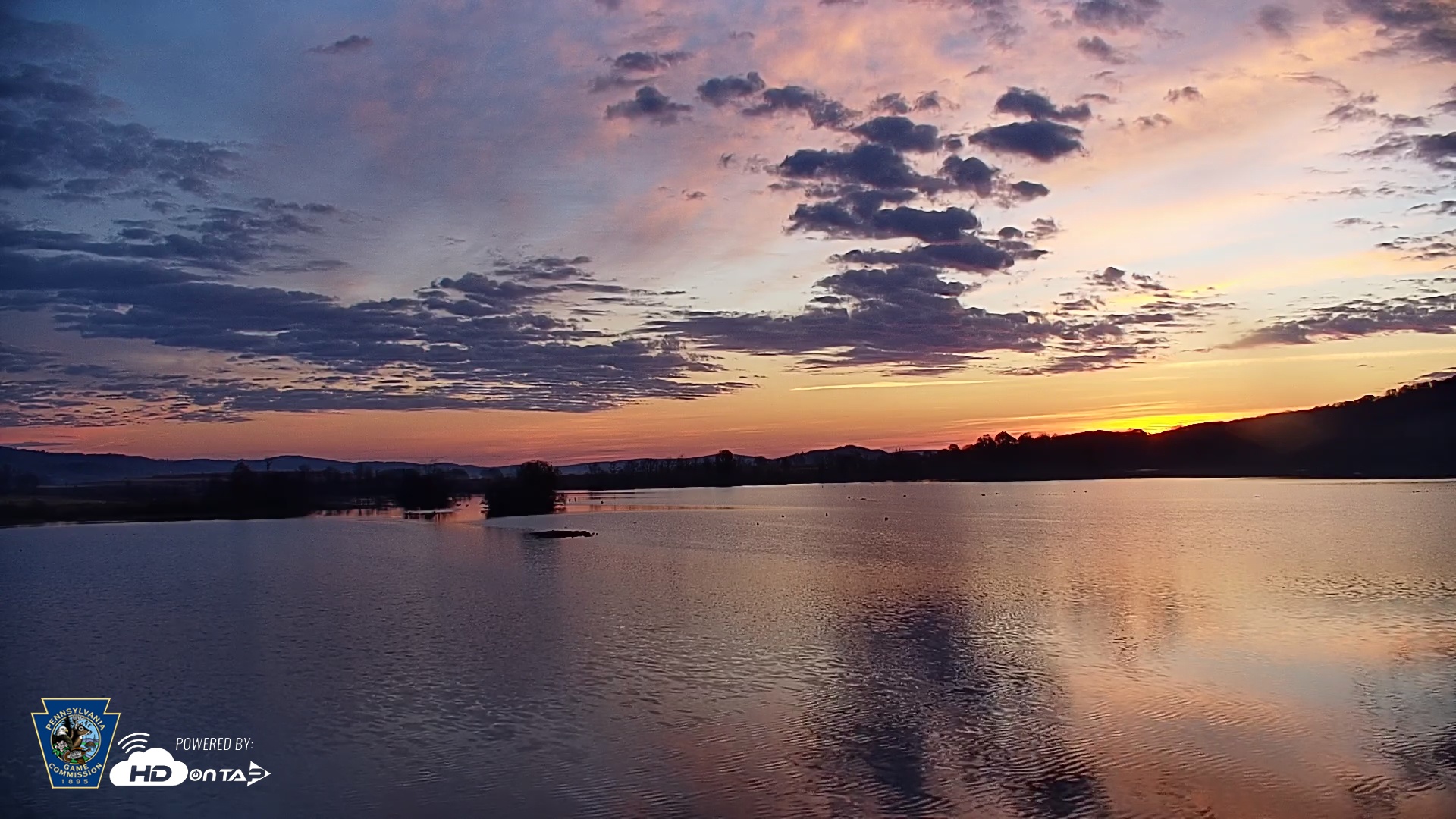 Snapshot of Pennsylvania Snow Geese Live Webcam taken Nov 9, 2025, 6:42am EST