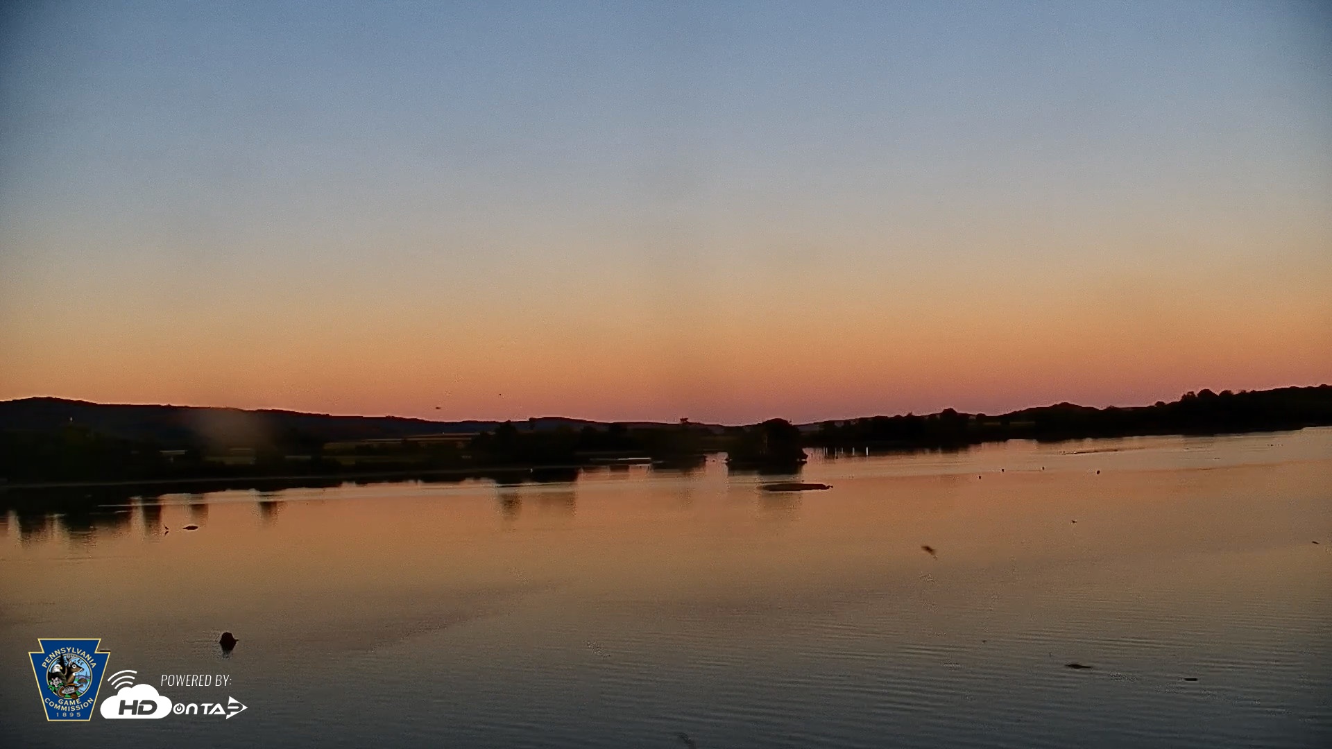 Snapshot of Pennsylvania Snow Geese Live Webcam taken Sep 14, 2026, 7:11pm EDT