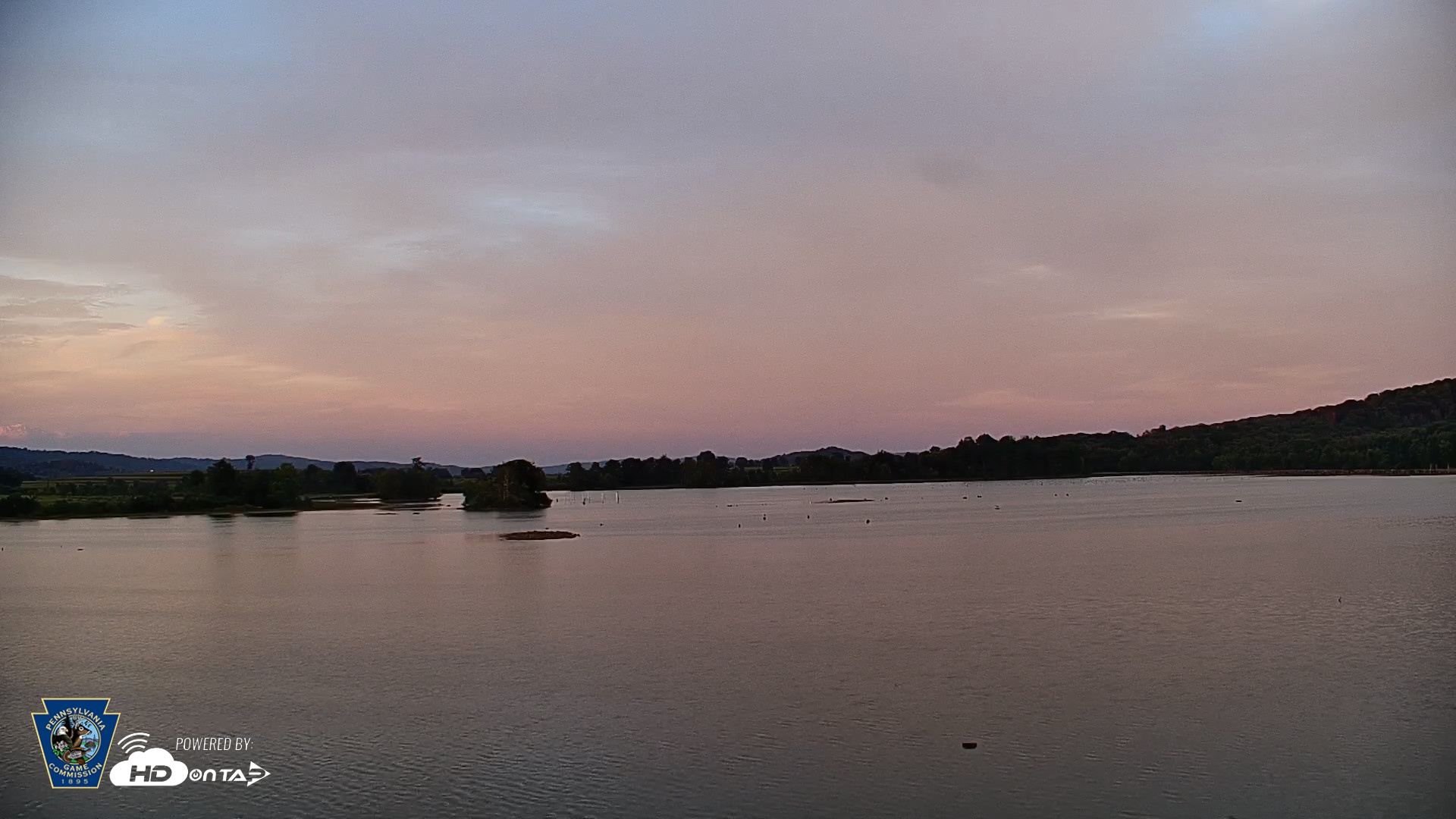 Snapshot of Pennsylvania Snow Geese Live Webcam taken Aug 26, 2026, 7:37pm EDT