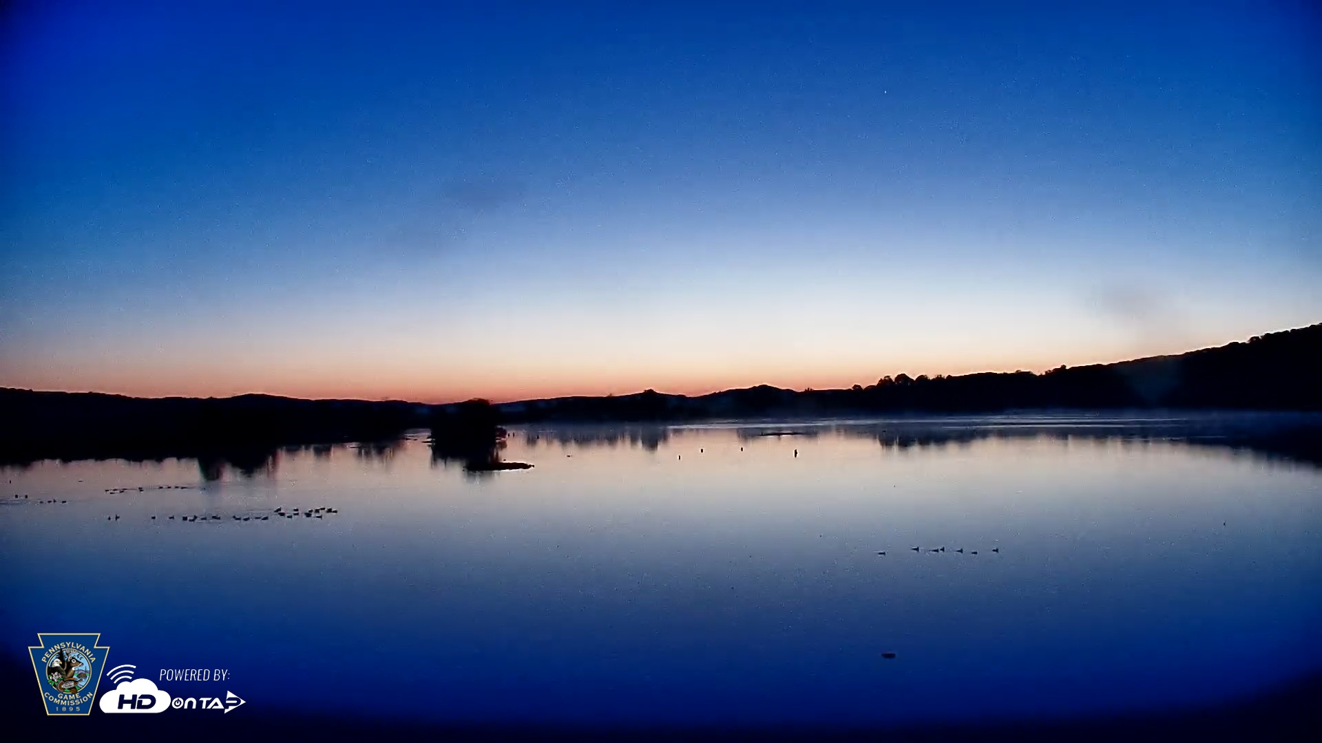 Snapshot of Pennsylvania Snow Geese Live Webcam taken Oct 21, 2025, 7:02am EDT