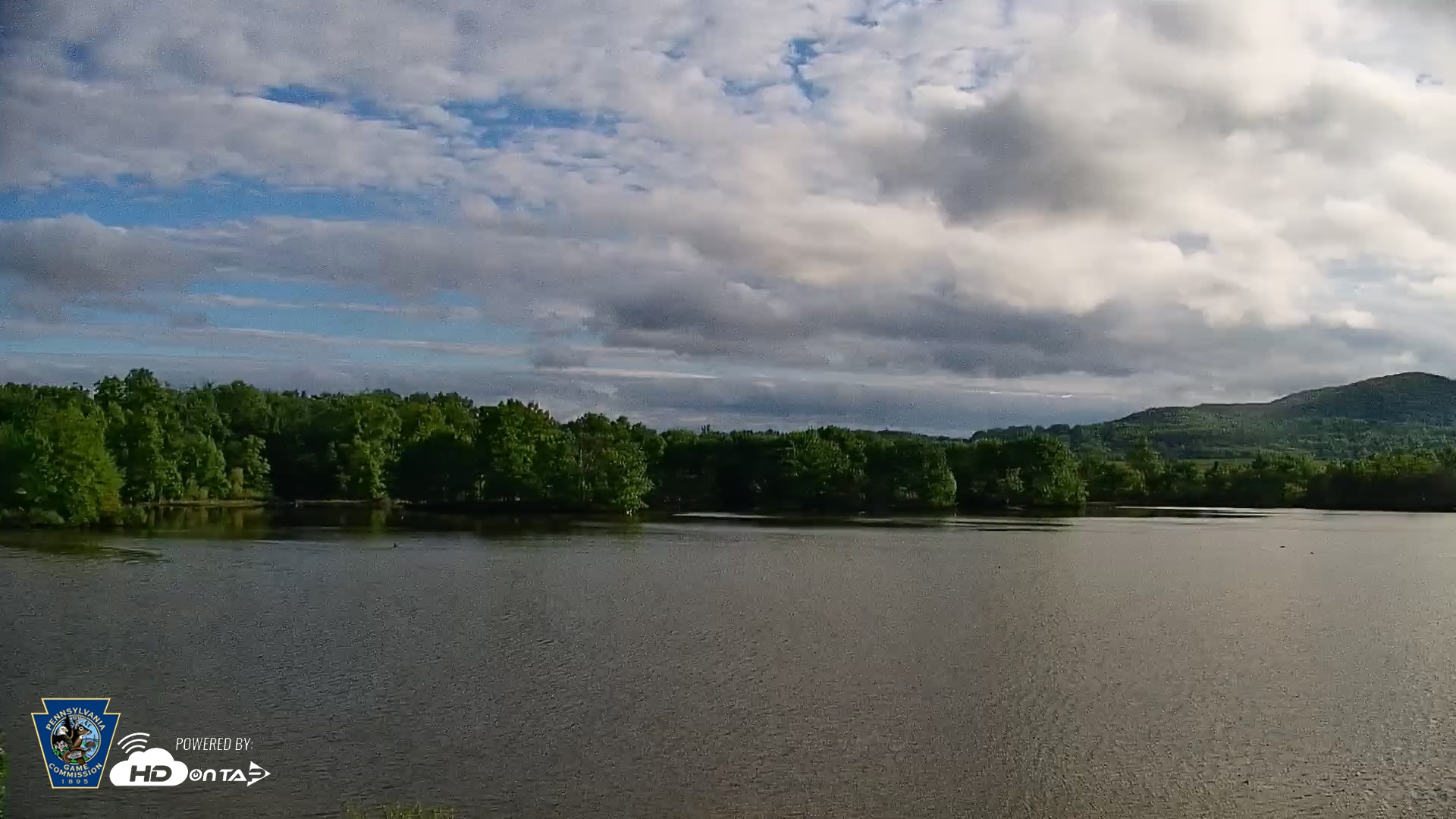 Snapshot of Pennsylvania Snow Geese Live Webcam taken May 15, 2026, 7:40am EDT