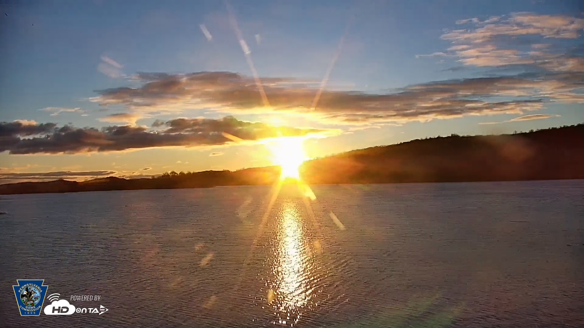 Snapshot of Pennsylvania Snow Geese Live Webcam taken Nov 17, 2025, 7:08am EST