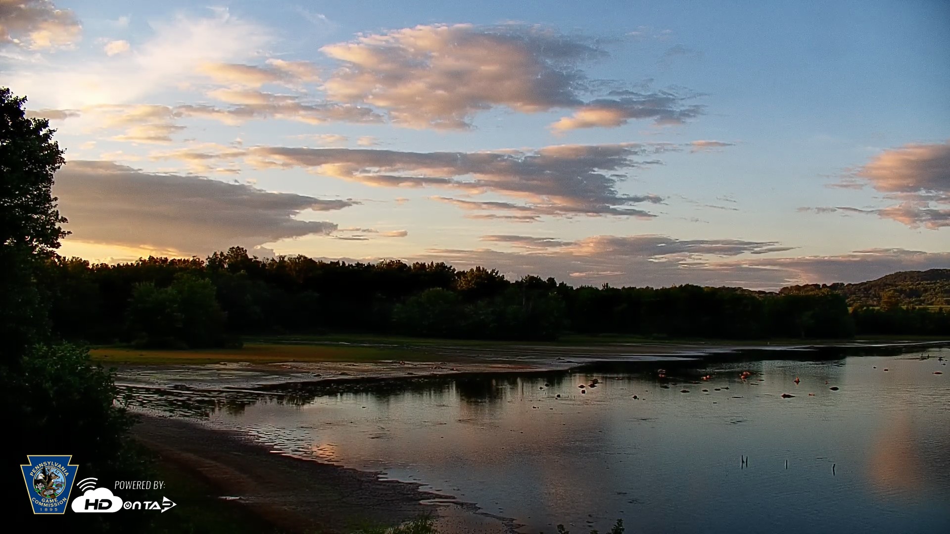 Snapshot of Pennsylvania Snow Geese Live Webcam taken Aug 25, 2026, 7:24pm EDT