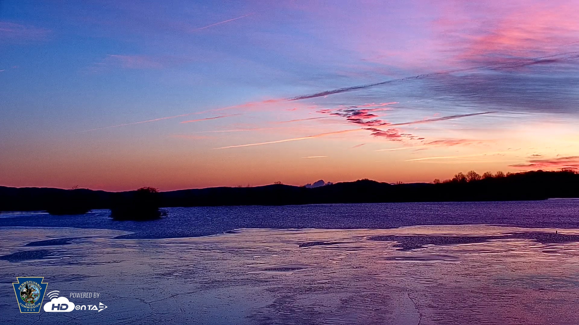 Snapshot of Pennsylvania Snow Geese Live Webcam taken Dec 20, 2025, 7:11am EST