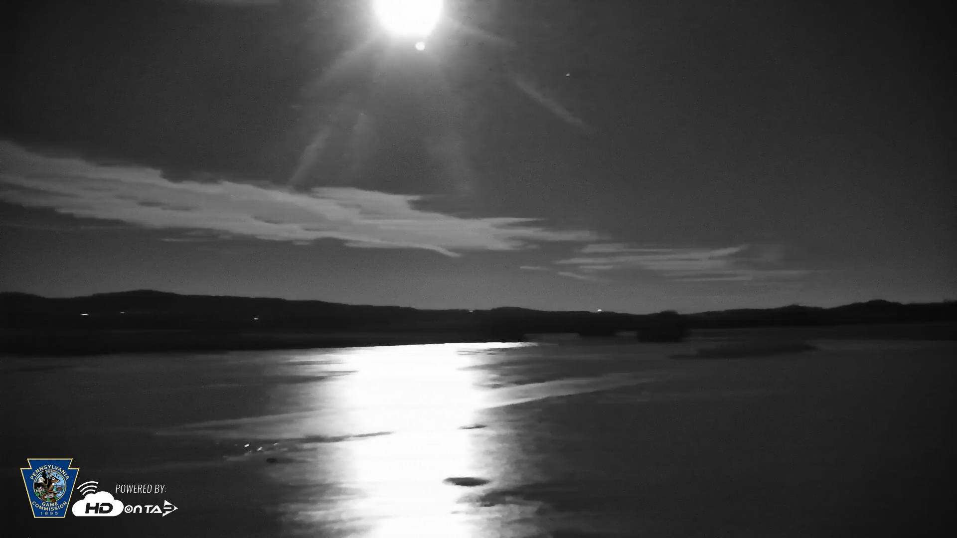 Snapshot of Pennsylvania Snow Geese Live Webcam taken Dec 4, 2025, 6:09pm EST