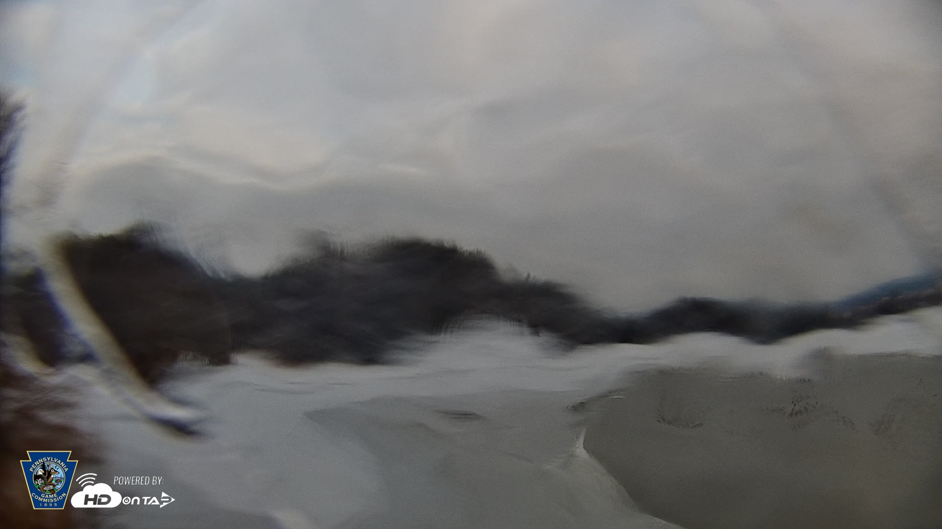 Snapshot of Pennsylvania Snow Geese Live Webcam taken Dec 27, 2025, 8:50am EST