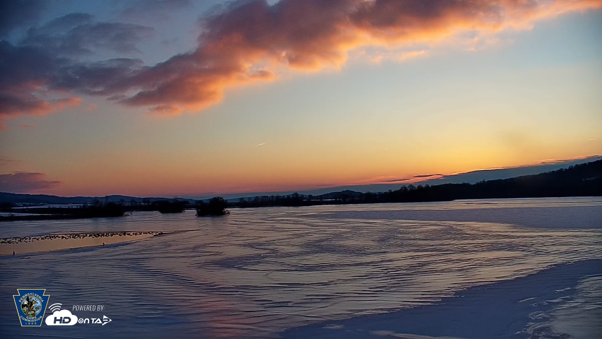 Snapshot of Pennsylvania Snow Geese Live Webcam taken Feb 4, 2026, 7:18am EST