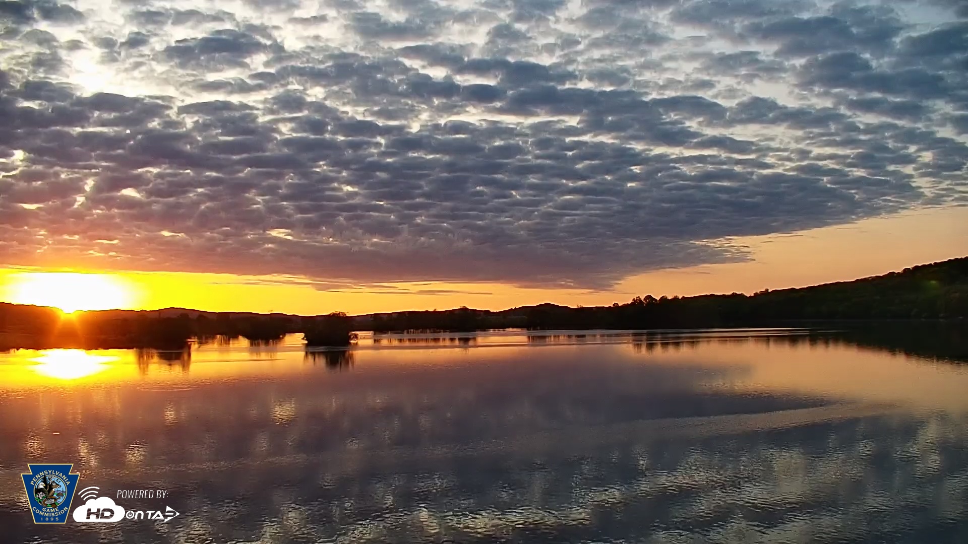 Snapshot of Pennsylvania Snow Geese Live Webcam taken May 1, 2025, 6:12am EDT