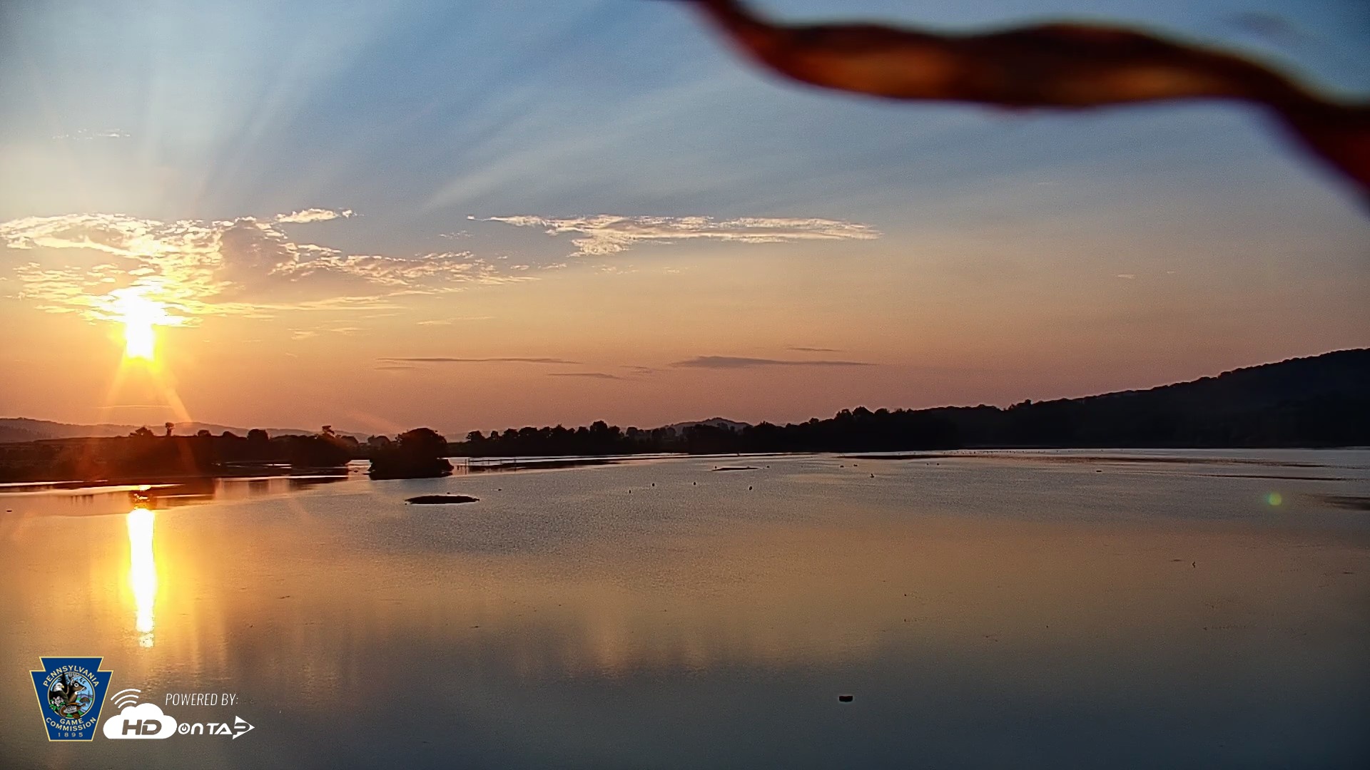 Snapshot of Pennsylvania Snow Geese Live Webcam taken Aug 13, 2026, 6:43am EDT