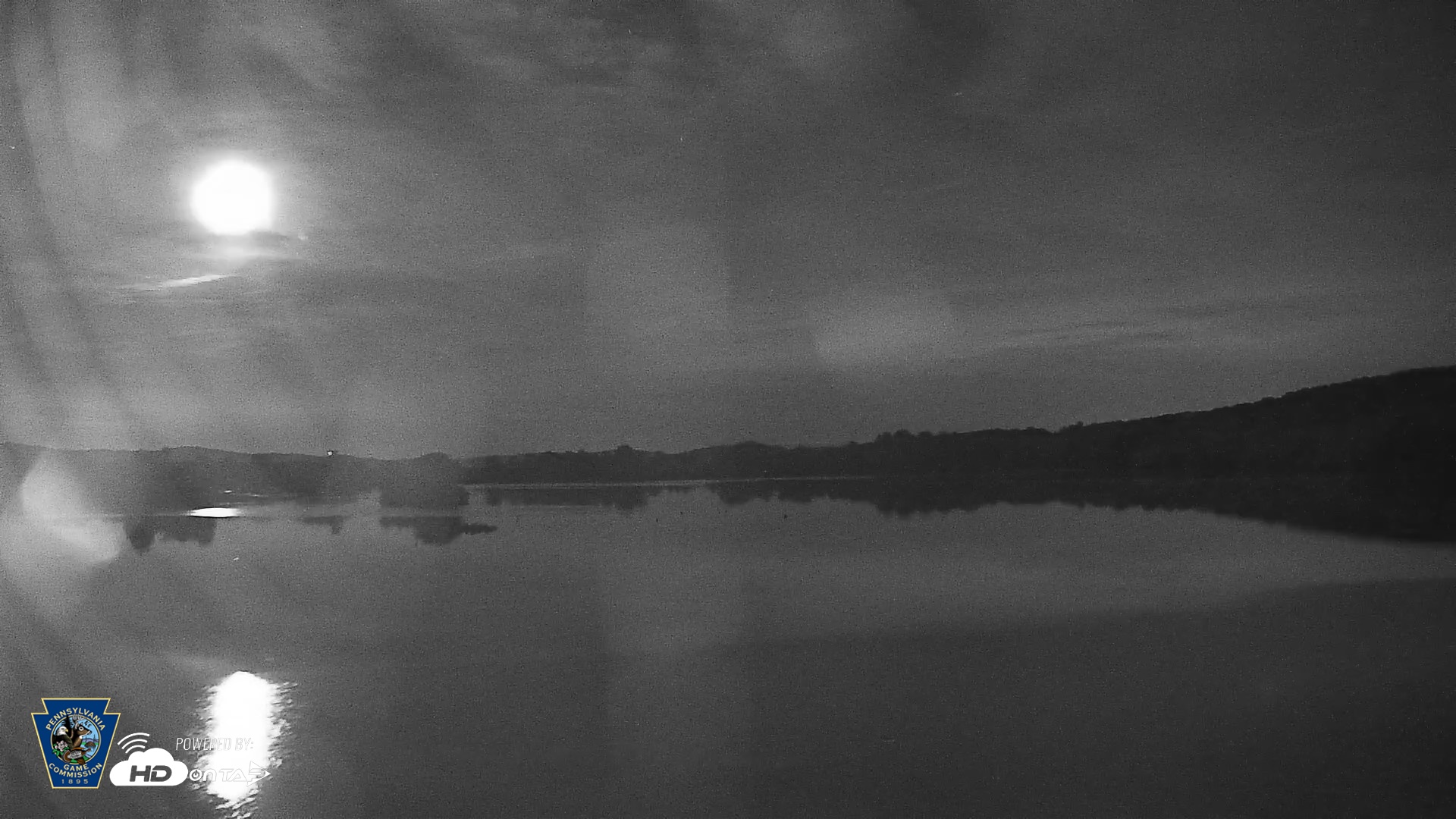 Snapshot of Pennsylvania Snow Geese Live Webcam taken Aug 5, 2026, 12:04am EDT