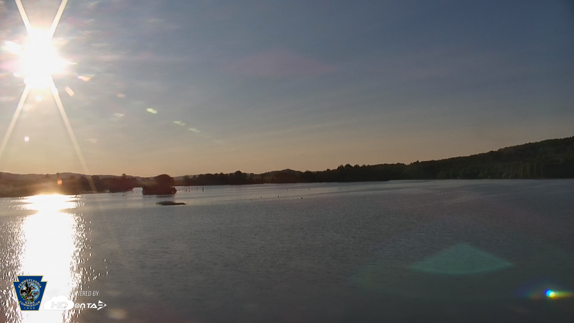 Snapshot of Pennsylvania Snow Geese Live Webcam taken Jul 23, 2026, 7:08am EDT