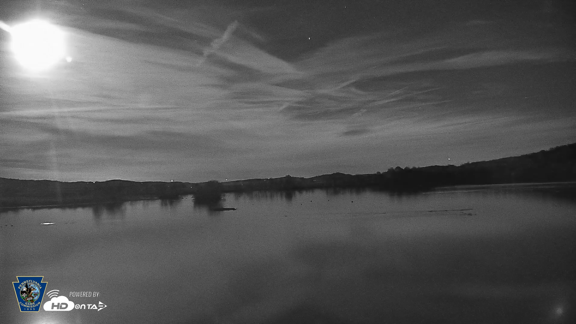 Snapshot of Pennsylvania Snow Geese Live Webcam taken Nov 6, 2025, 7:04pm EST