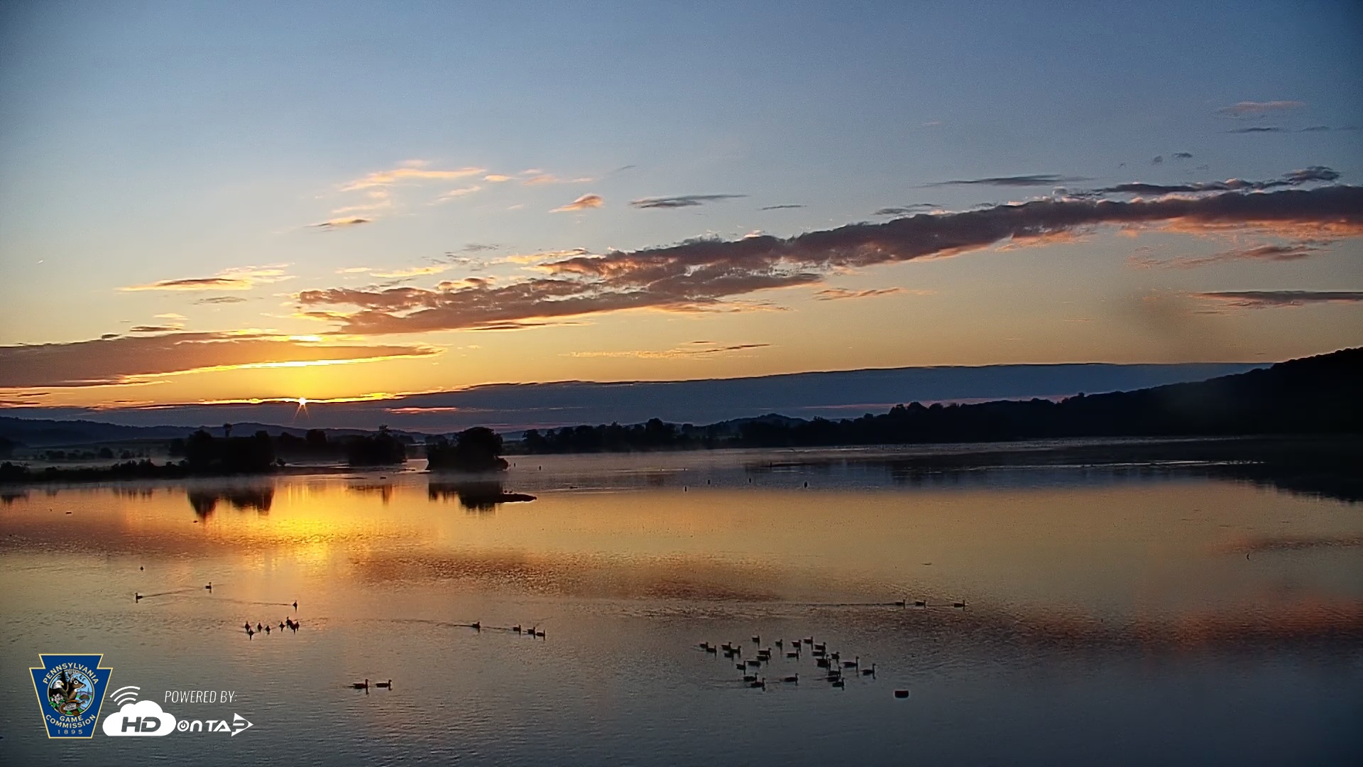 Snapshot of Pennsylvania Snow Geese Live Webcam taken Aug 29, 2025, 6:41am EDT