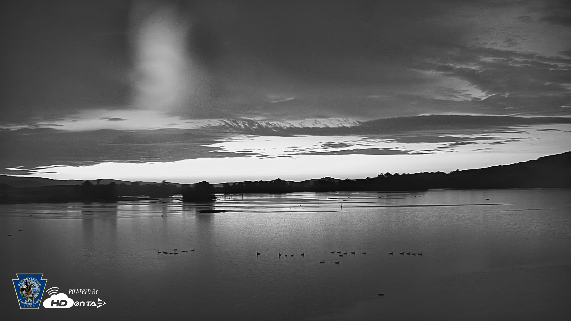 Snapshot of Pennsylvania Snow Geese Live Webcam taken Aug 24, 2026, 6:00am EDT
