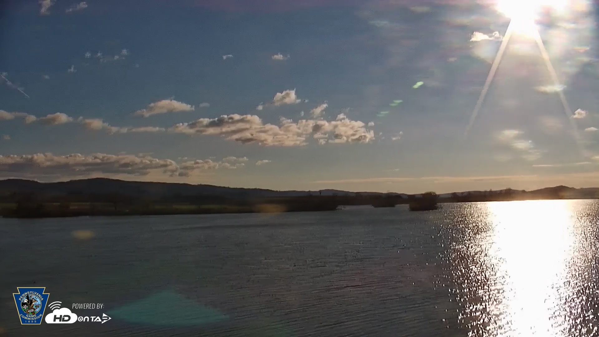 Snapshot of Pennsylvania Snow Geese Live Webcam taken Apr 7, 2026, 8:20am EDT