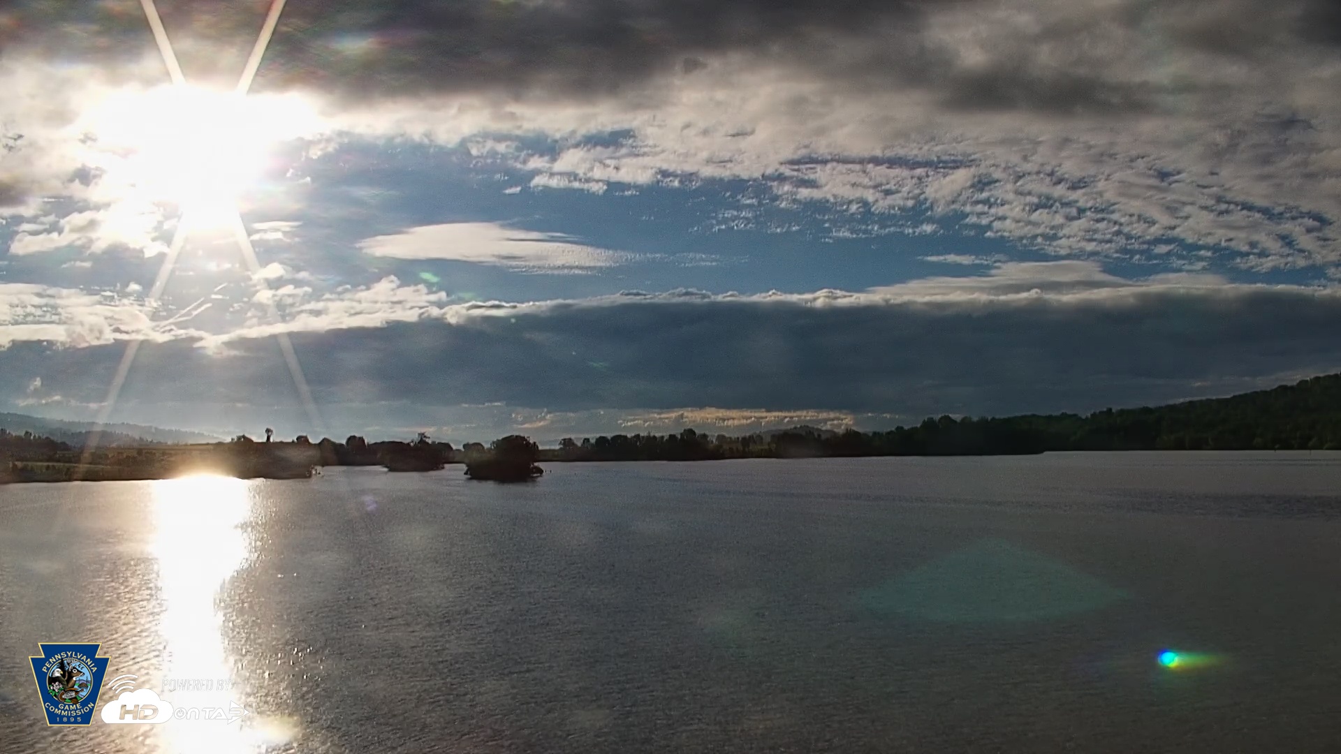 Snapshot of Pennsylvania Snow Geese Live Webcam taken May 23, 2025, 6:56am EDT