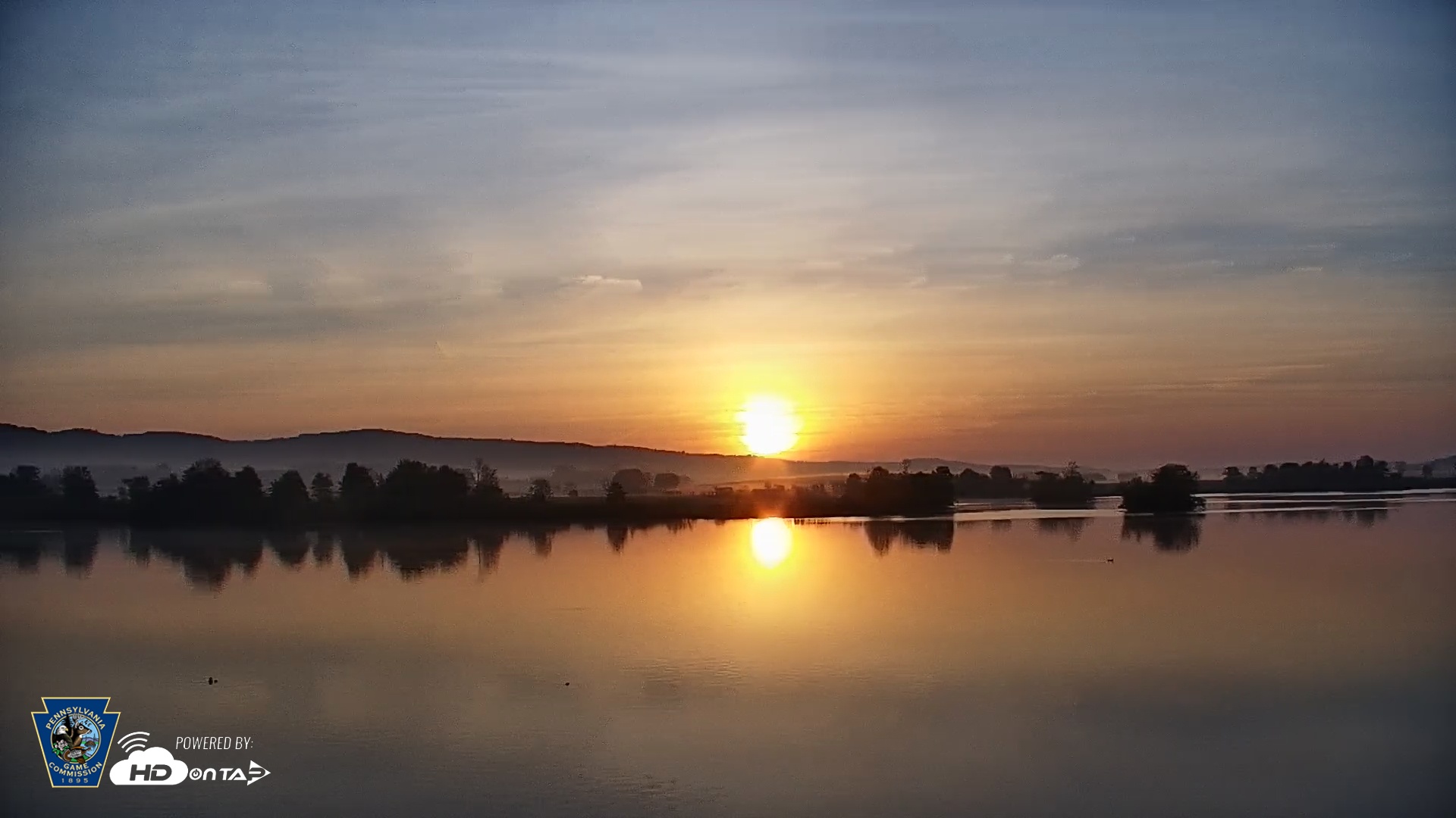Snapshot of Pennsylvania Snow Geese Live Webcam taken May 3, 2025, 6:17am EDT