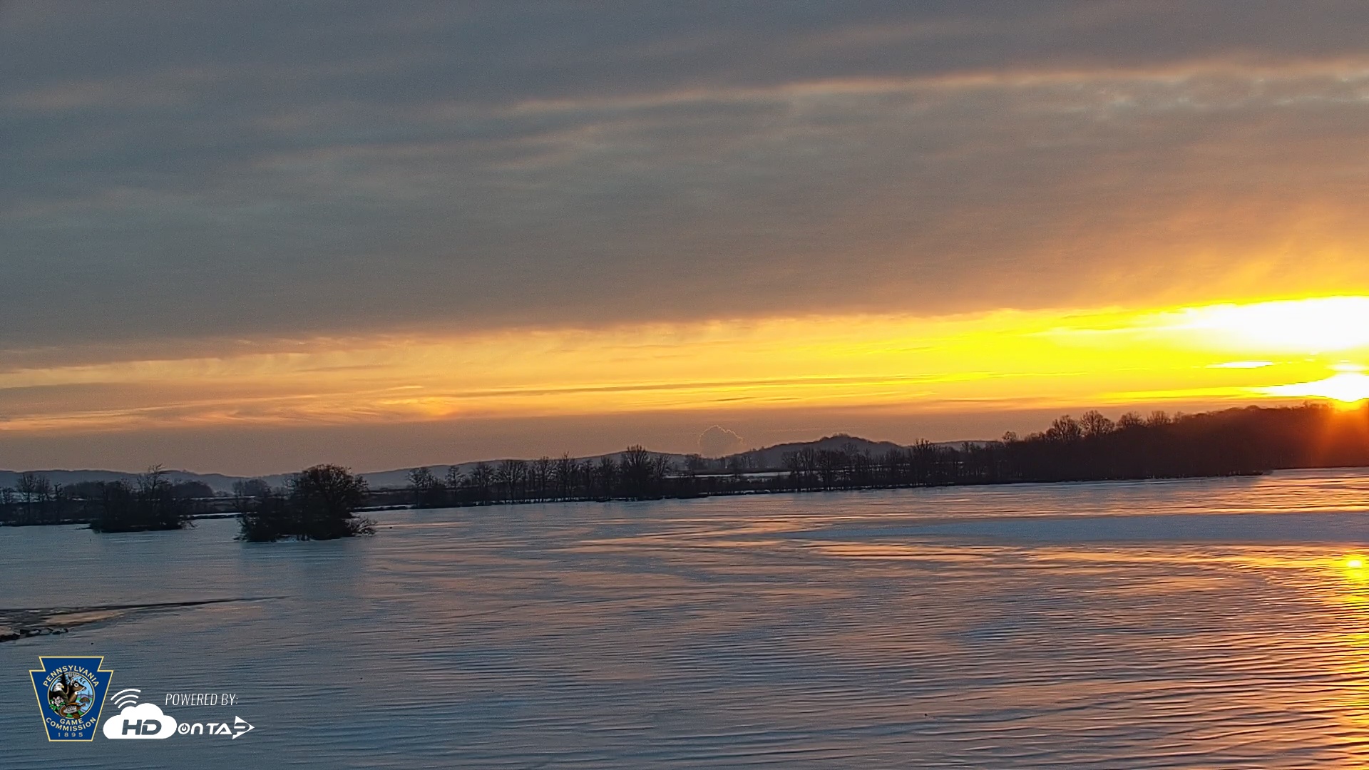 Snapshot of Pennsylvania Snow Geese Live Webcam taken Feb 6, 2026, 7:19am EST