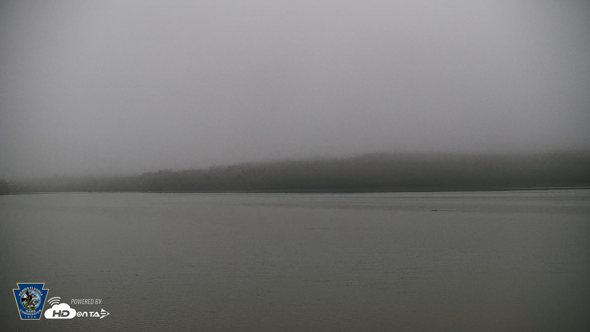 Snapshot of Pennsylvania Snow Geese Live Webcam taken Sep 2, 2026, 6:24am EDT