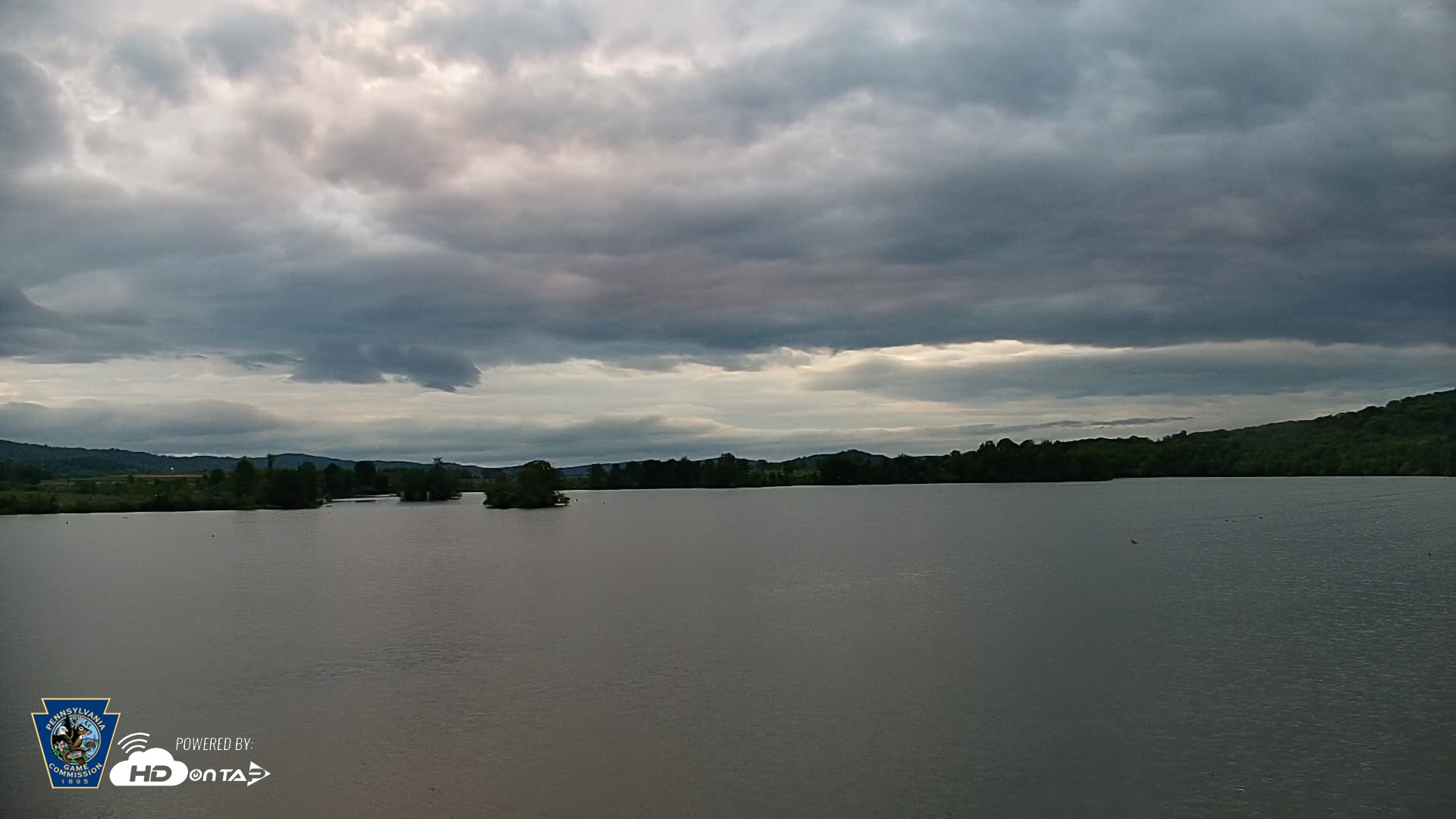 Snapshot of Pennsylvania Snow Geese Live Webcam taken May 15, 2026, 5:59am EDT