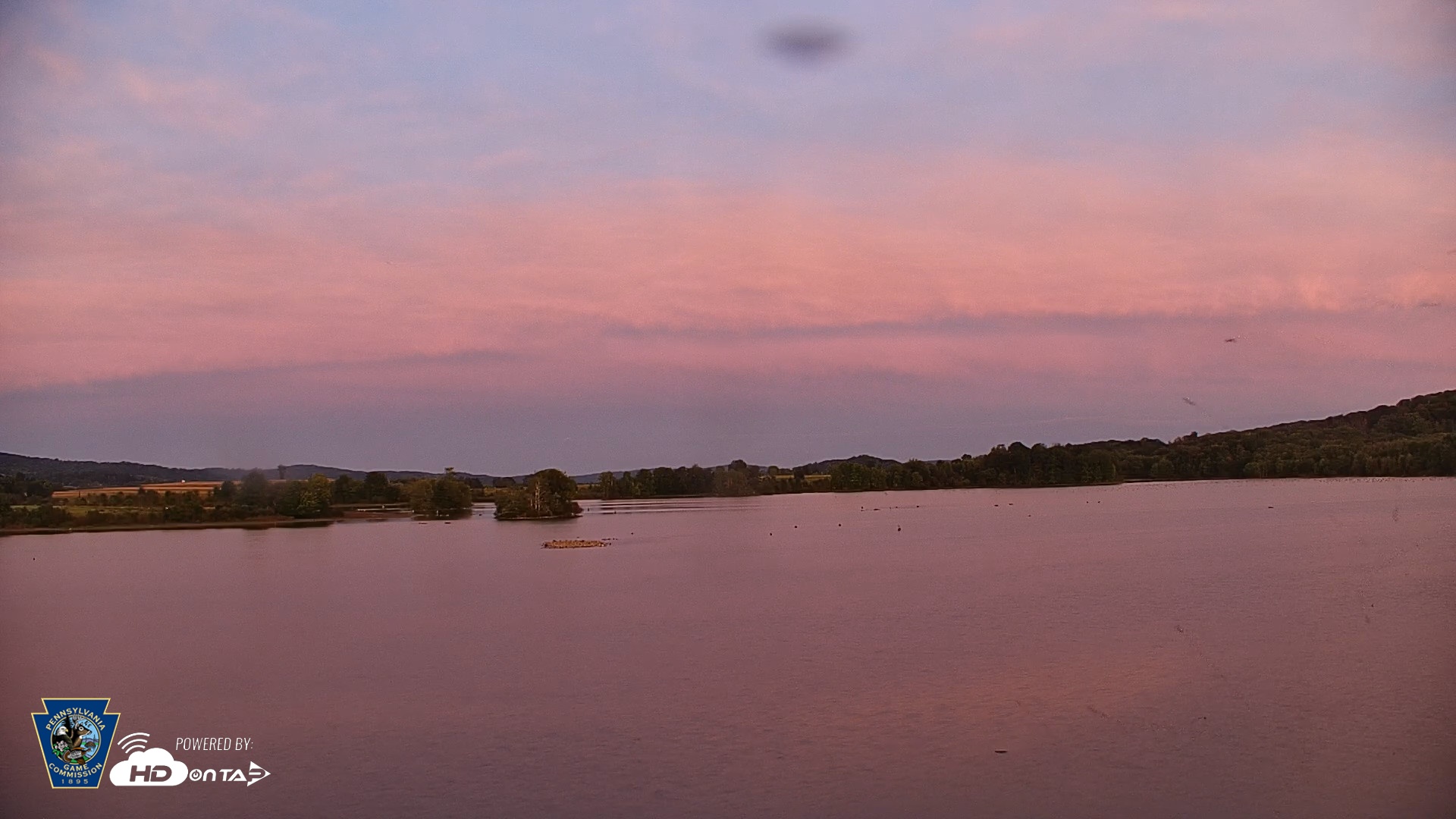 Snapshot of Pennsylvania Snow Geese Live Webcam taken Sep 25, 2026, 7:04pm EDT