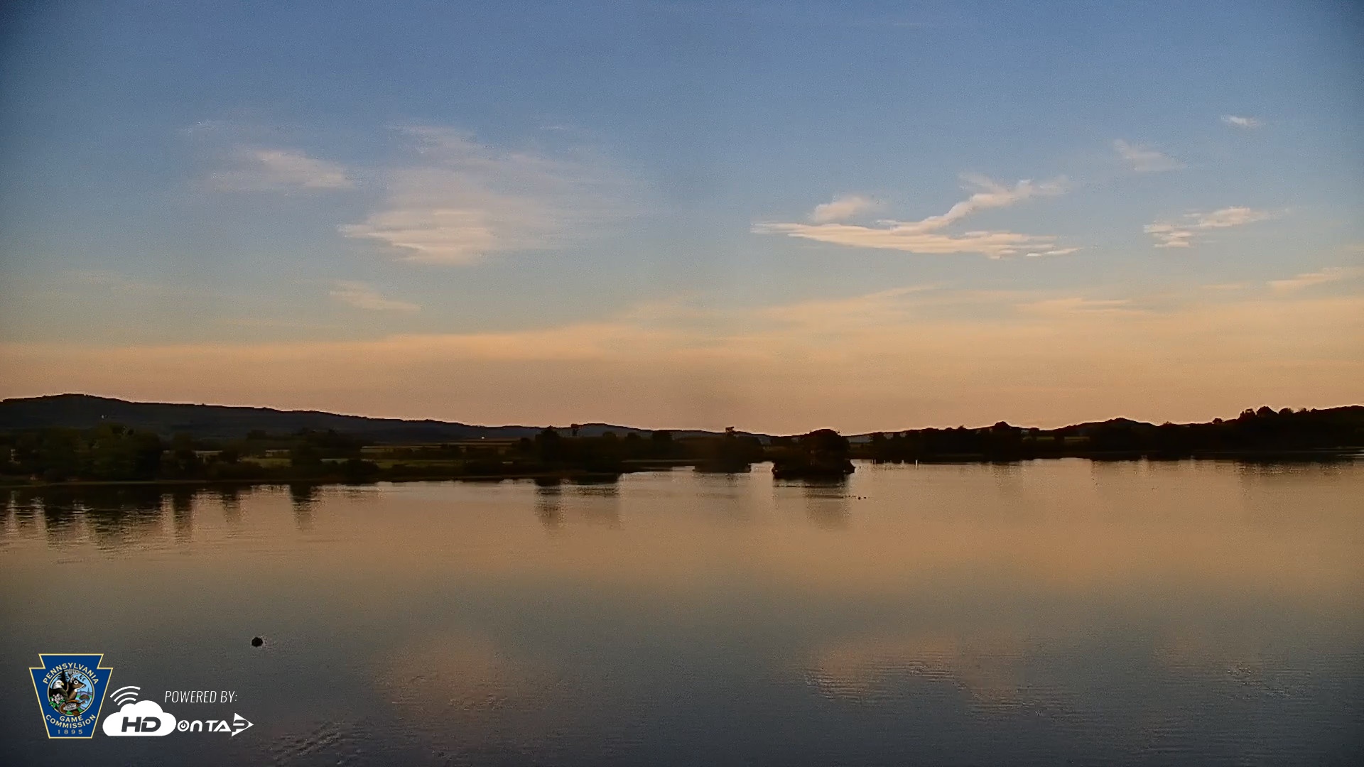 Snapshot of Pennsylvania Snow Geese Live Webcam taken Sep 3, 2026, 6:27pm EDT