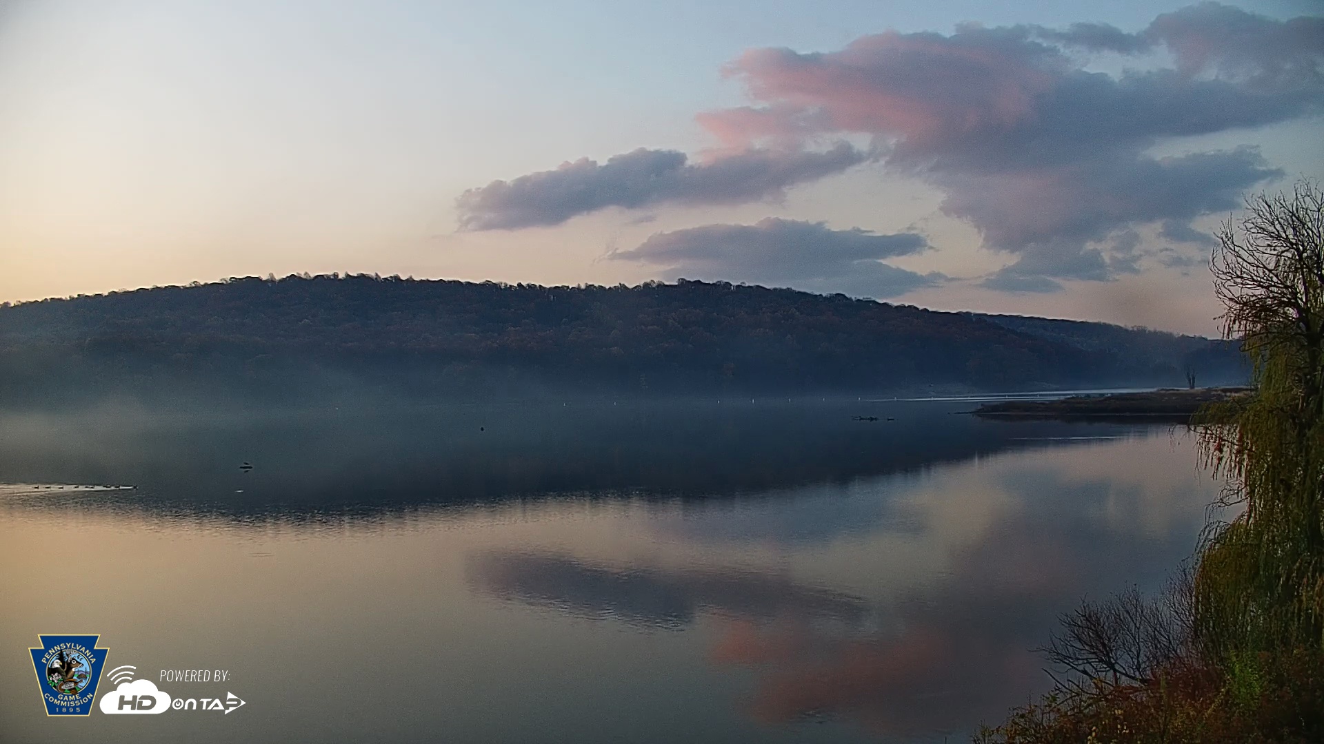 Snapshot of Pennsylvania Snow Geese Live Webcam taken Nov 8, 2025, 6:56am EST