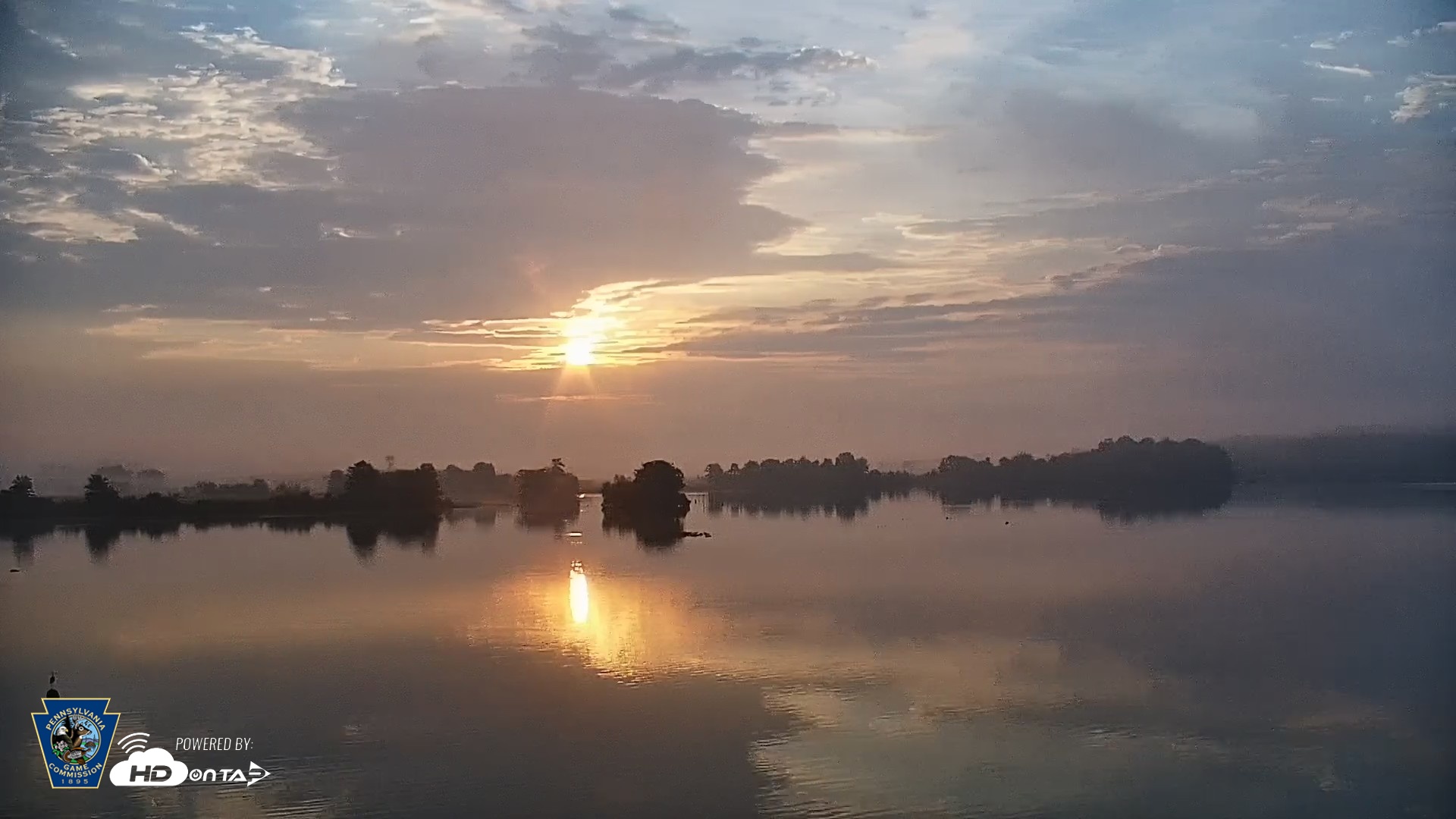 Snapshot of Pennsylvania Snow Geese Live Webcam taken Sep 1, 2026, 7:02am EDT