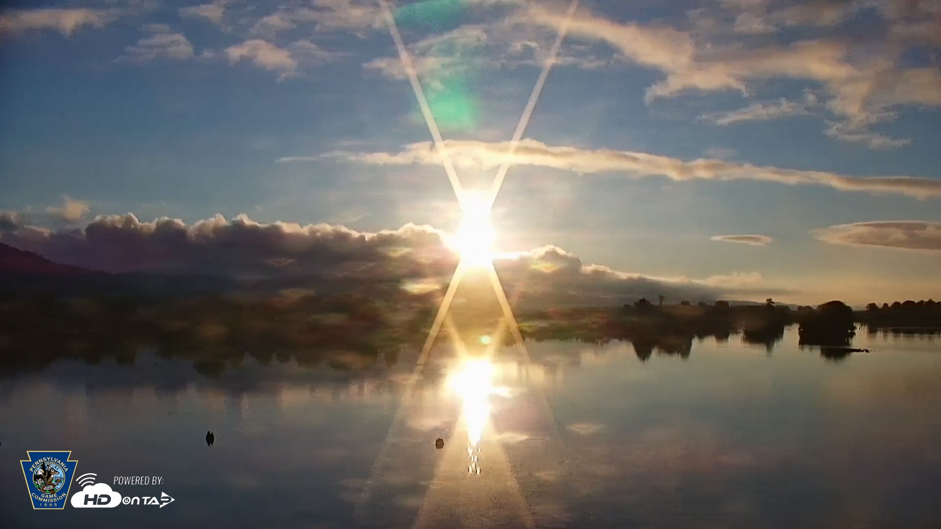 Snapshot of Pennsylvania Snow Geese Live Webcam taken Jul 8, 2026, 6:16am EDT