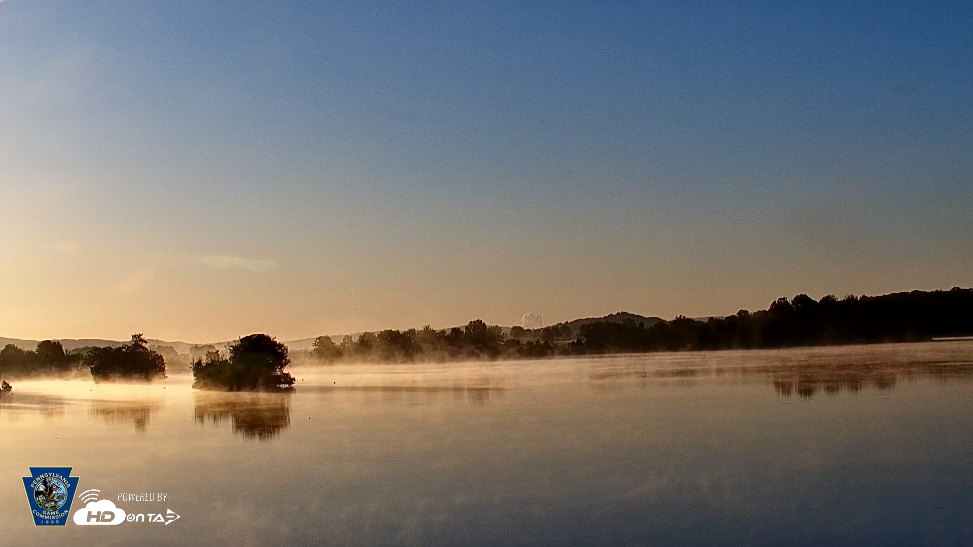 Snapshot of Pennsylvania Snow Geese Live Webcam taken Jun 2, 2026, 6:15am EDT