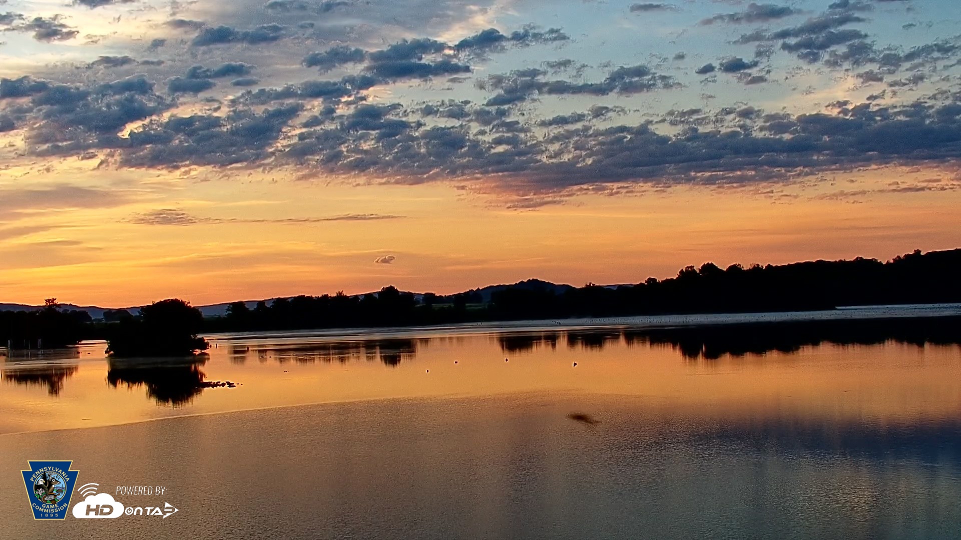 Snapshot of Pennsylvania Snow Geese Live Webcam taken Jun 25, 2026, 5:51am EDT