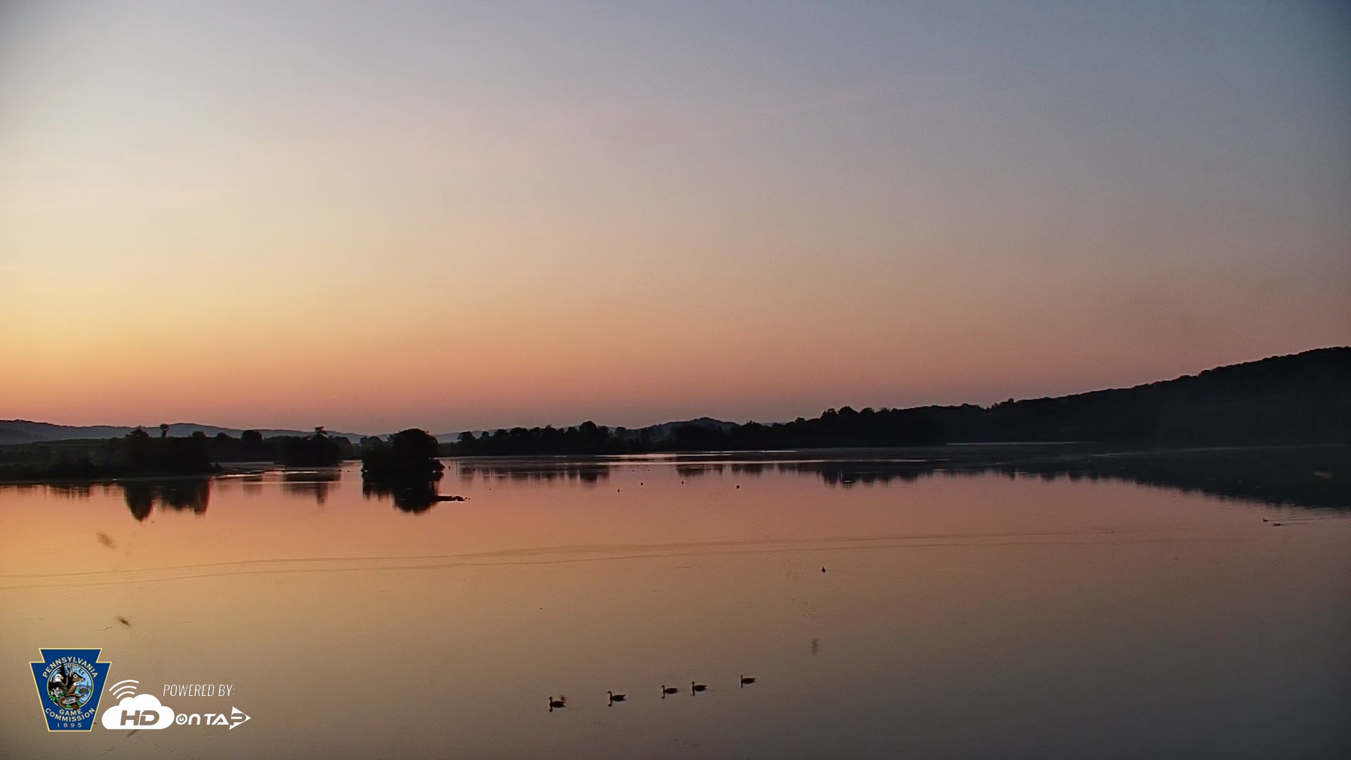 Snapshot of Pennsylvania Snow Geese Live Webcam taken Jul 14, 2026, 5:36am EDT