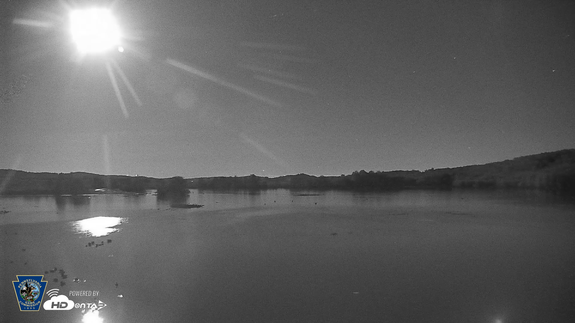 Snapshot of Pennsylvania Snow Geese Live Webcam taken Oct 8, 2025, 8:46pm EDT