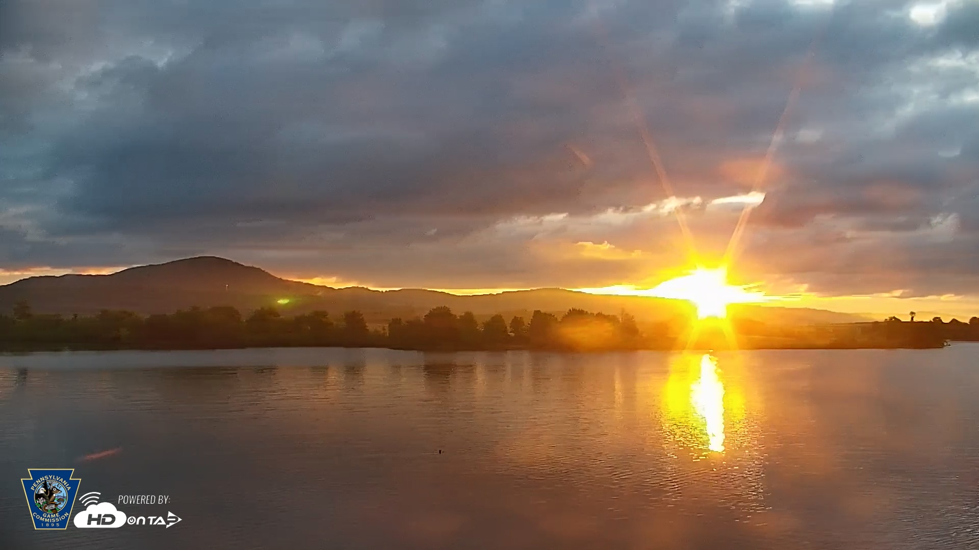 Snapshot of Pennsylvania Snow Geese Live Webcam taken May 23, 2025, 5:57am EDT