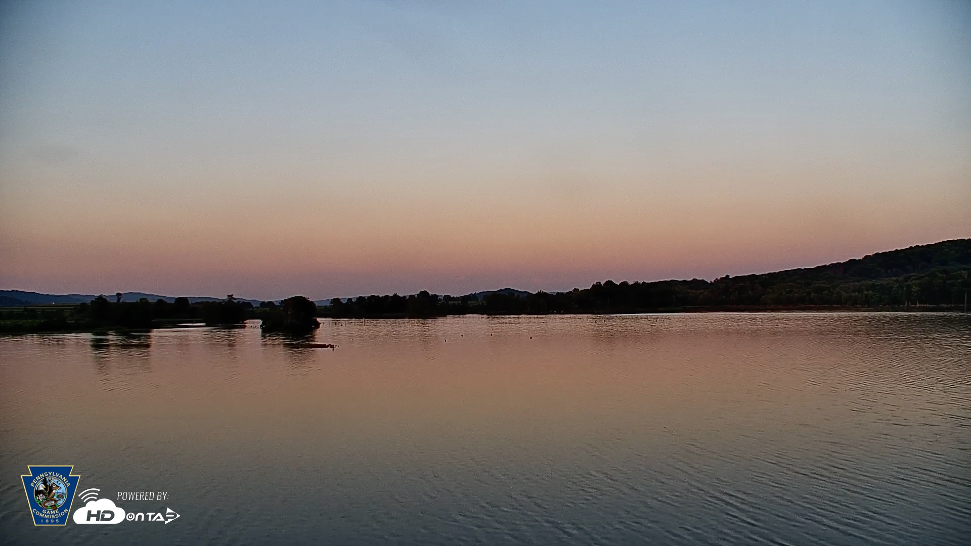 Snapshot of Pennsylvania Snow Geese Live Webcam taken Jul 31, 2026, 8:02pm EDT