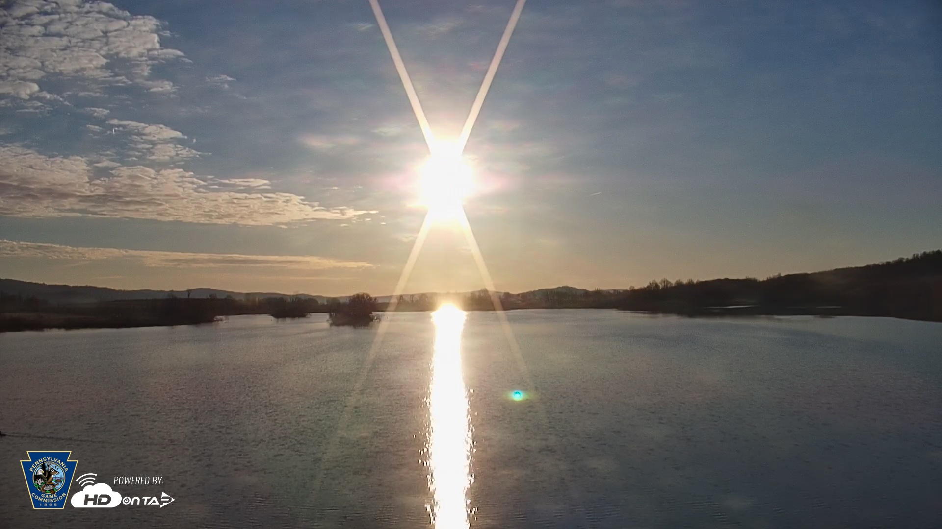 Snapshot of Pennsylvania Snow Geese Live Webcam taken Mar 29, 2026, 7:37am EDT