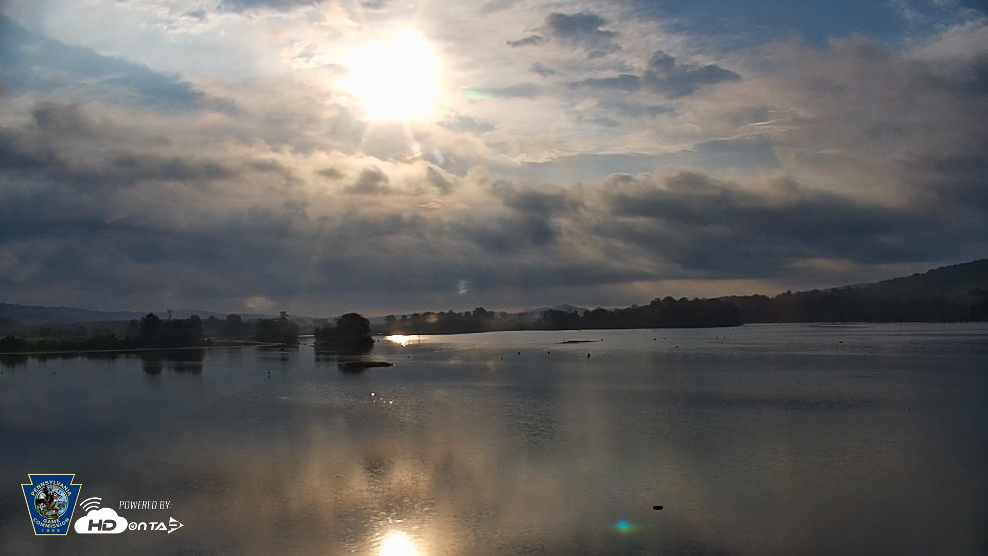 Snapshot of Pennsylvania Snow Geese Live Webcam taken Aug 27, 2026, 7:47am EDT