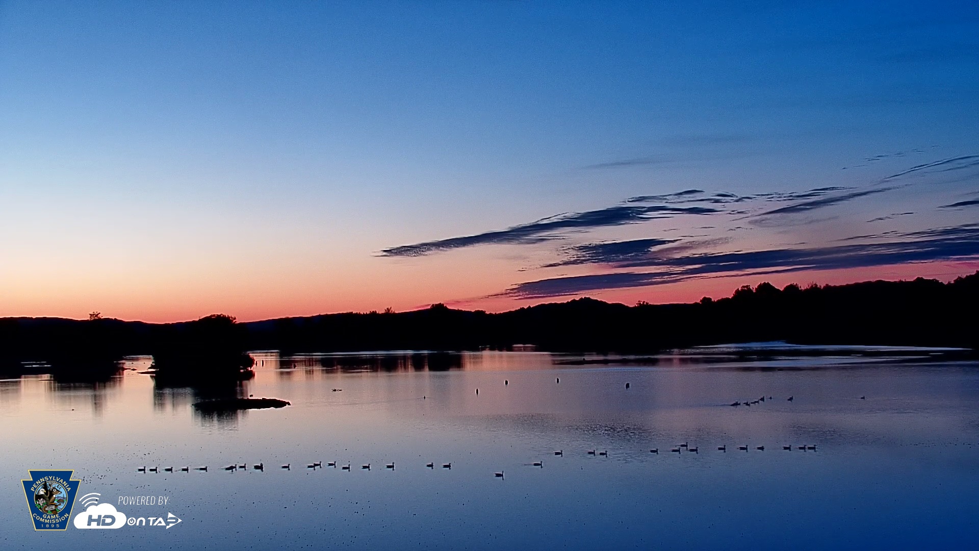 Snapshot of Pennsylvania Snow Geese Live Webcam taken Aug 30, 2025, 6:11am EDT
