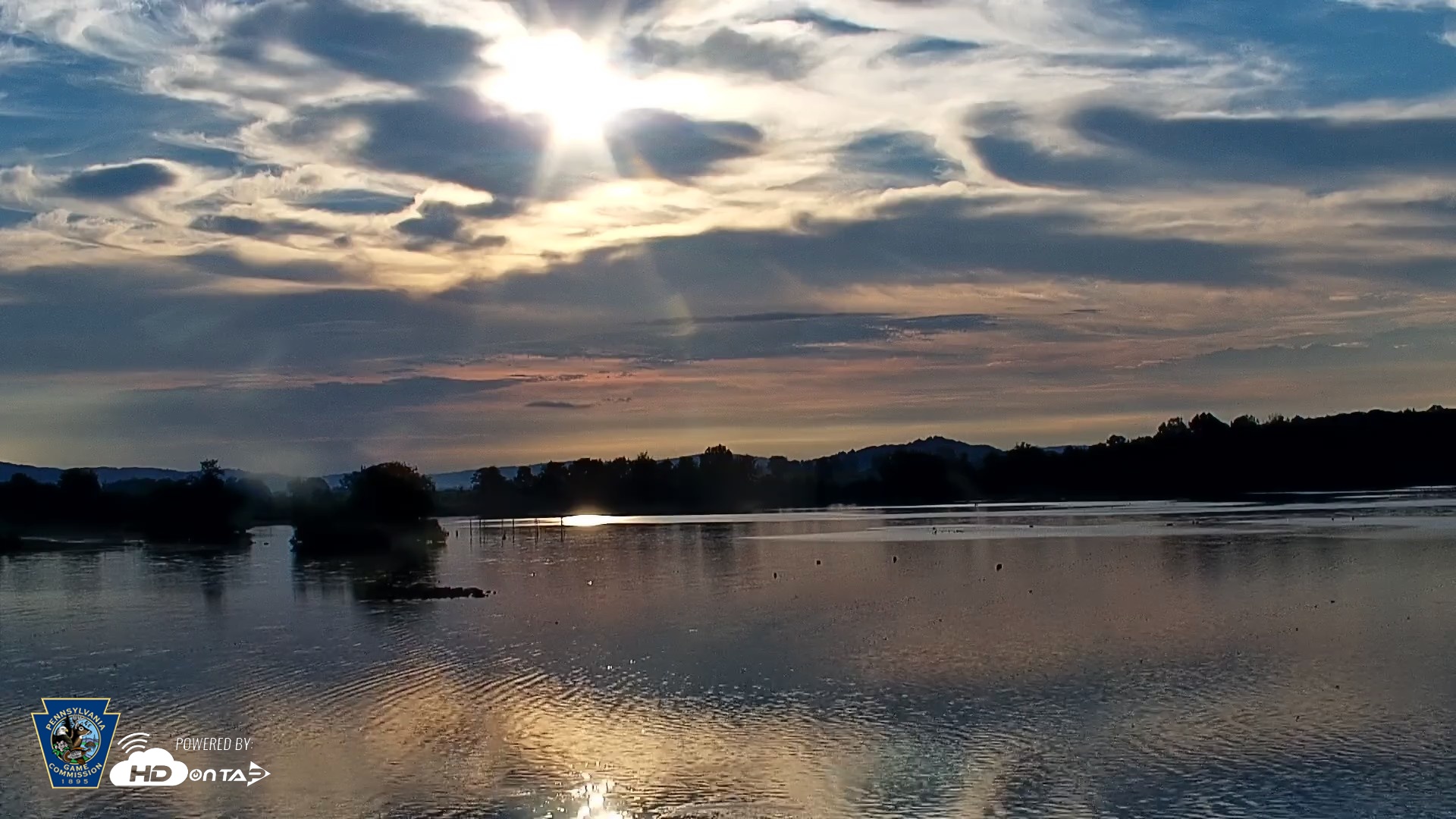 Snapshot of Pennsylvania Snow Geese Live Webcam taken Sep 10, 2026, 7:32am EDT