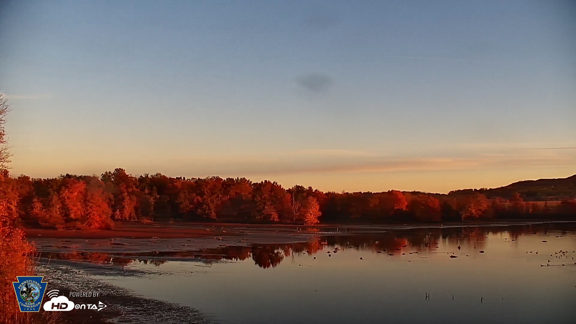 Snapshot of Pennsylvania Snow Geese Live Webcam taken Oct 31, 2026, 7:43am EDT