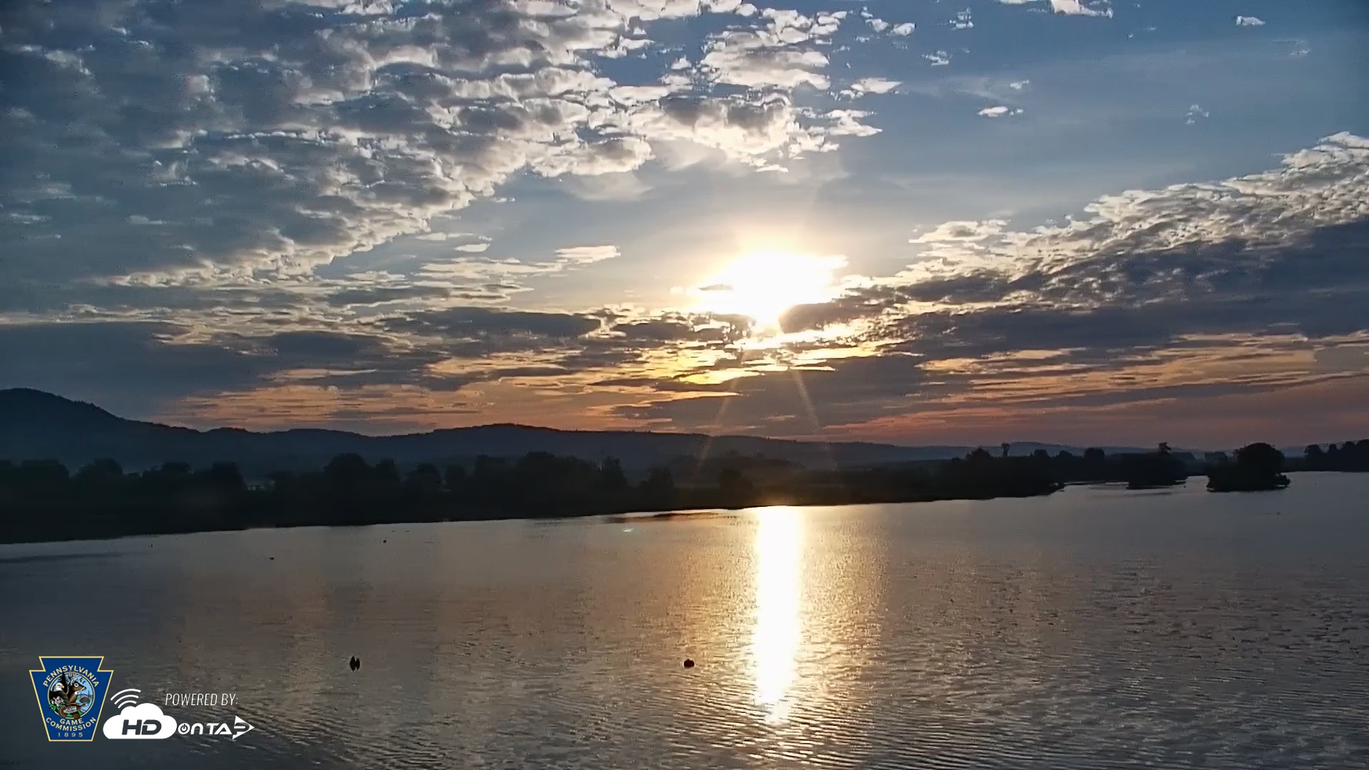 Snapshot of Pennsylvania Snow Geese Live Webcam taken Jun 6, 2026, 6:21am EDT