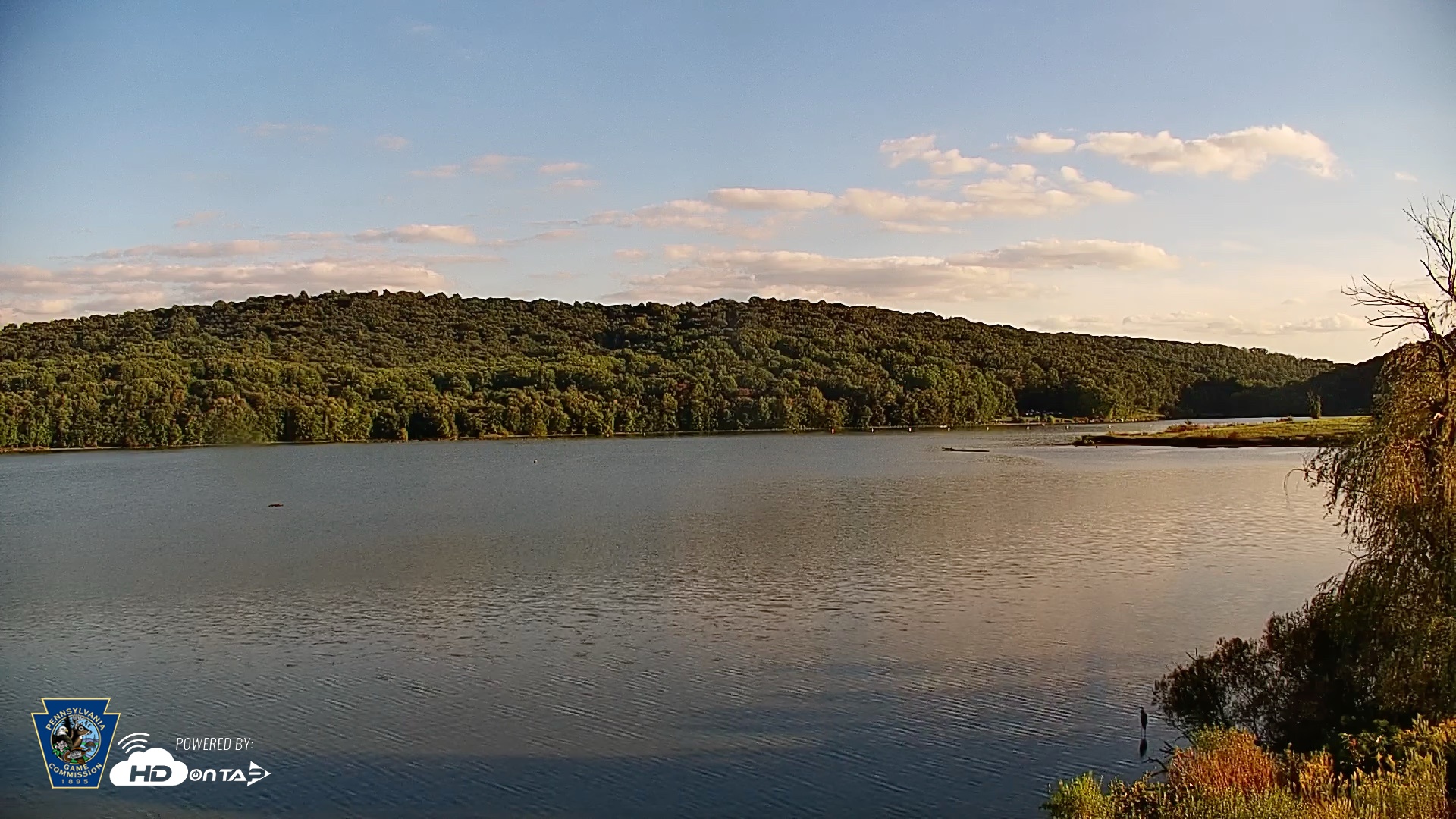 Snapshot of Pennsylvania Snow Geese Live Webcam taken Sep 11, 2026, 6:12pm EDT