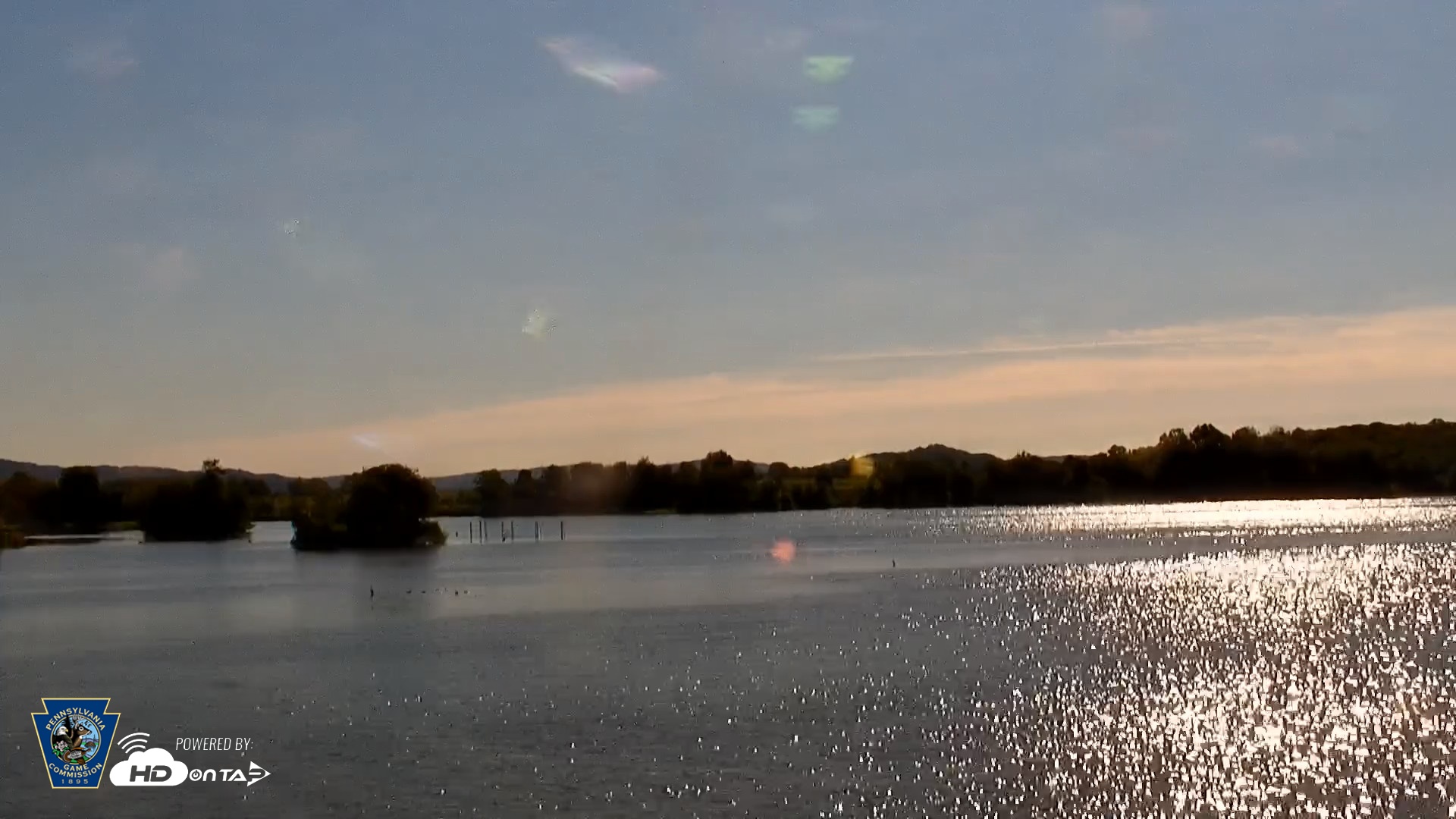 Snapshot of Pennsylvania Snow Geese Live Webcam taken Aug 29, 2026, 9:05am EDT