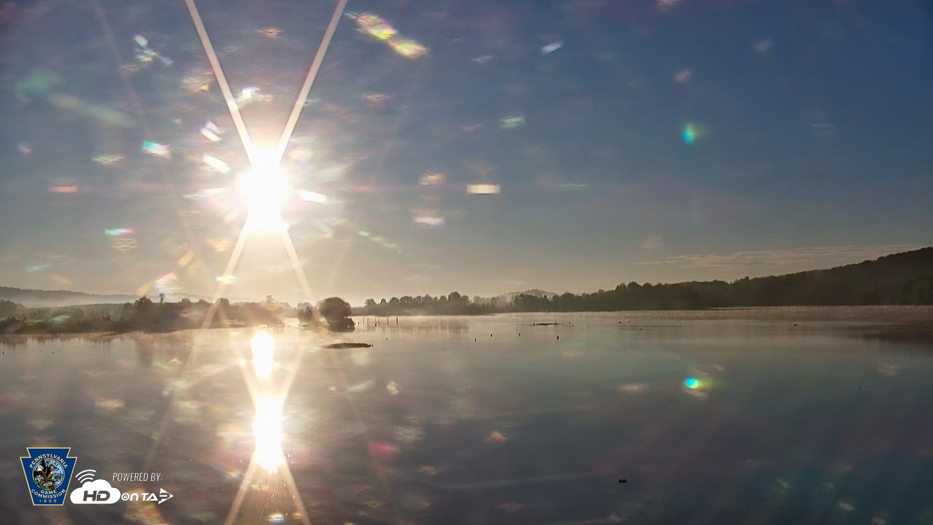 Snapshot of Pennsylvania Snow Geese Live Webcam taken Aug 25, 2026, 7:10am EDT
