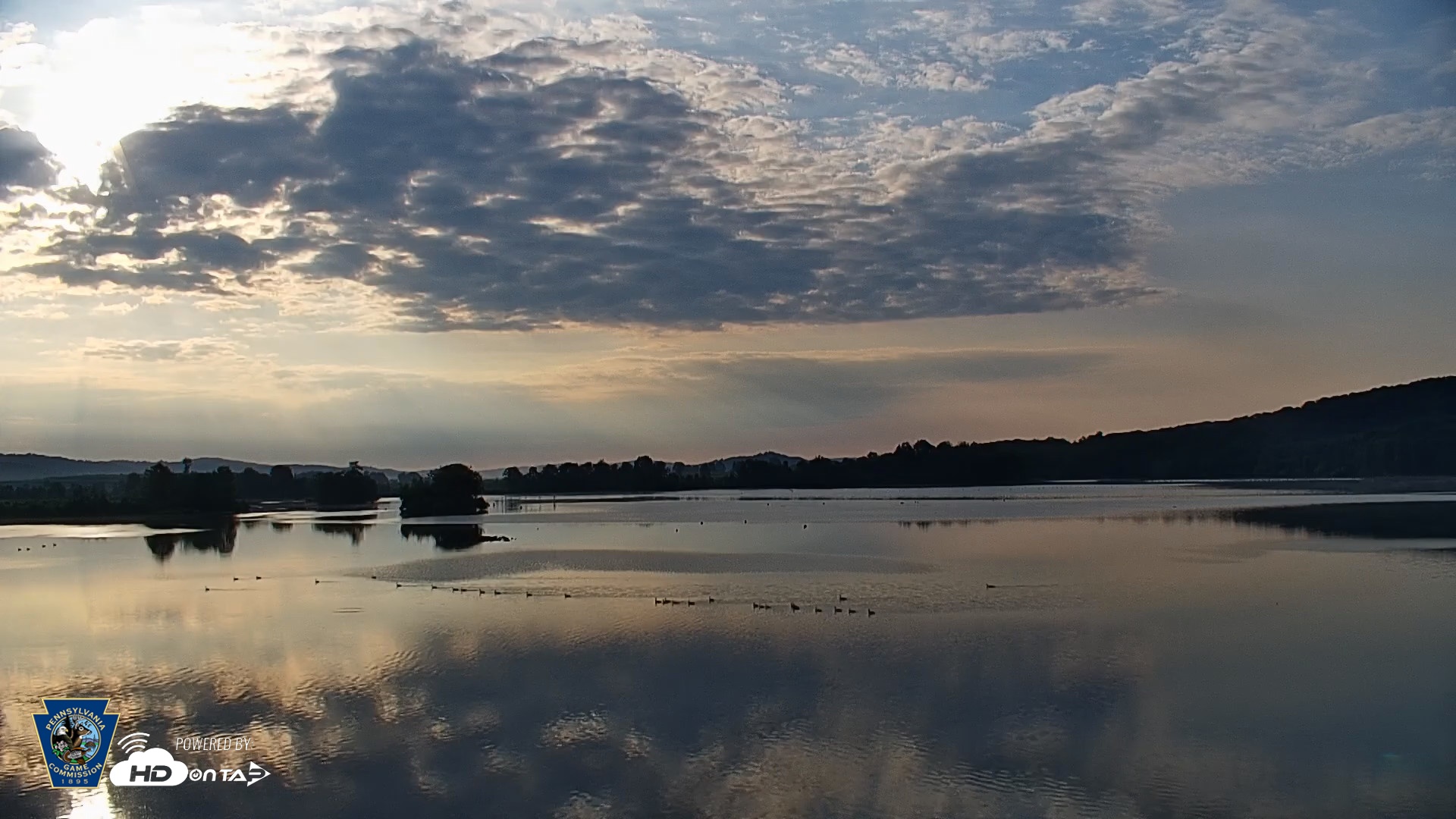 Snapshot of Pennsylvania Snow Geese Live Webcam taken Jul 13, 2026, 7:08am EDT